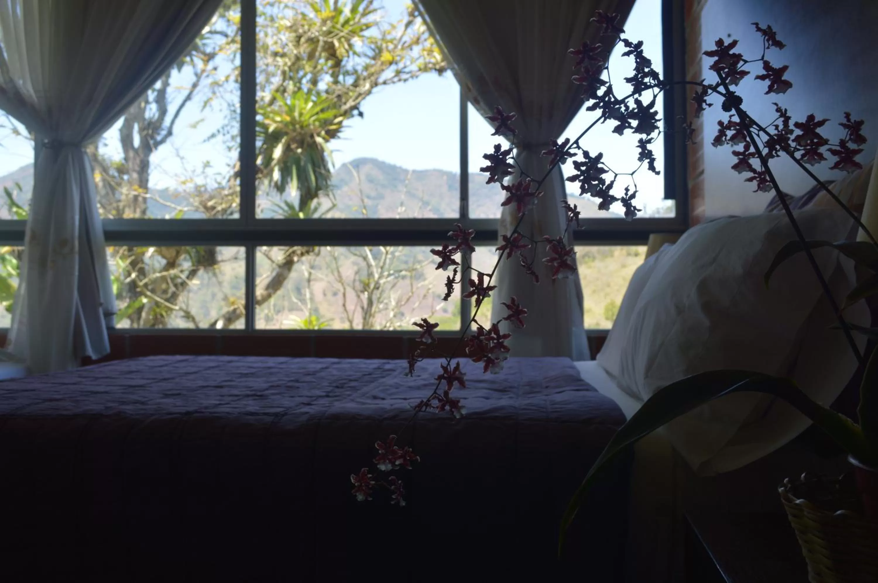 Mountain view, Bed in Hosteria Florecer