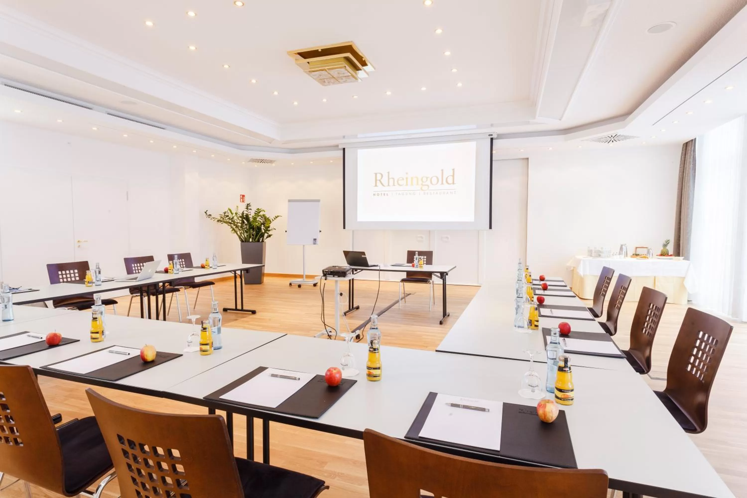 Meeting/conference room in Hotel Rheingold