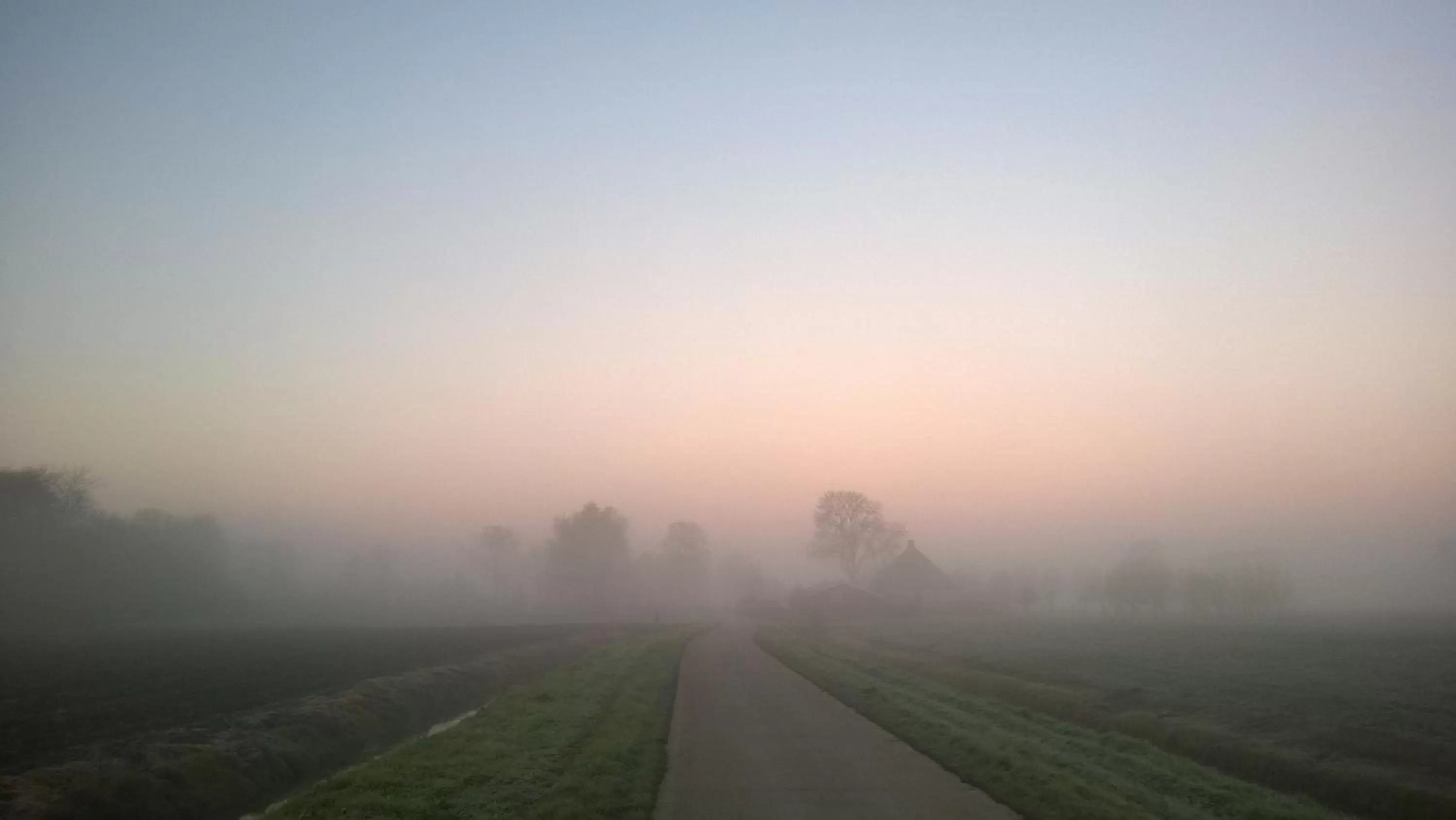Natural landscape in Bed & Breakfast Boszicht Leeuwarden