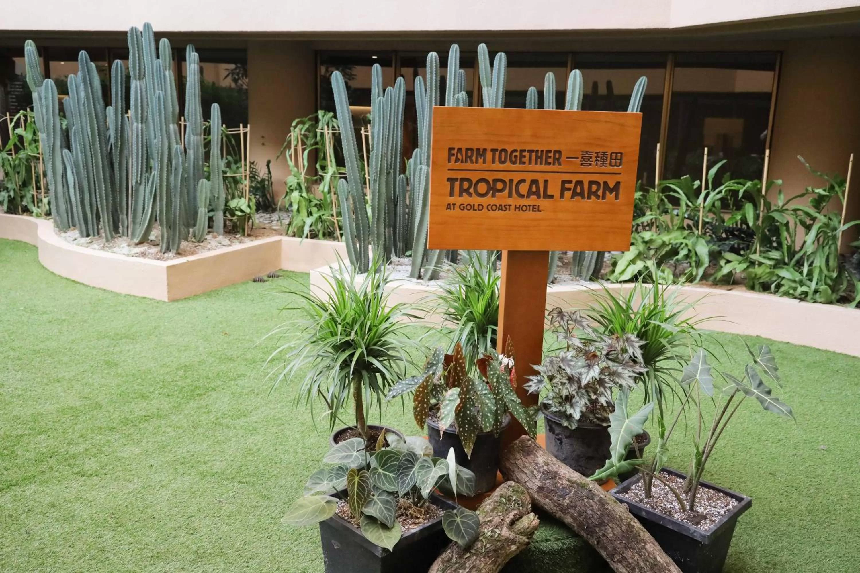 Garden in Hong Kong Gold Coast Hotel