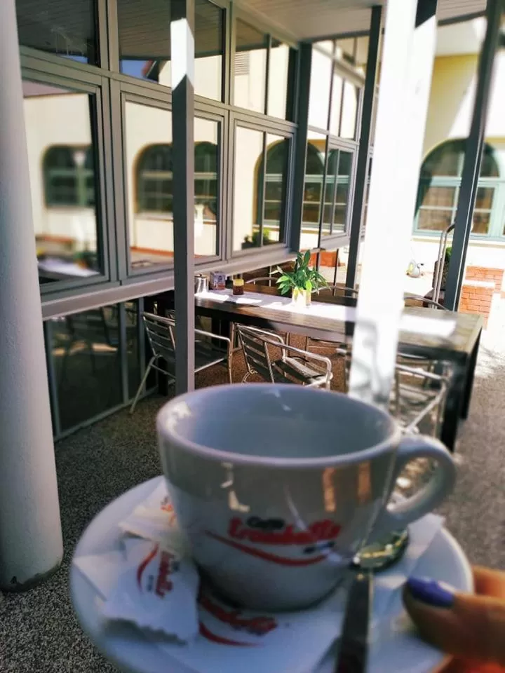 Garden in Motel Vega