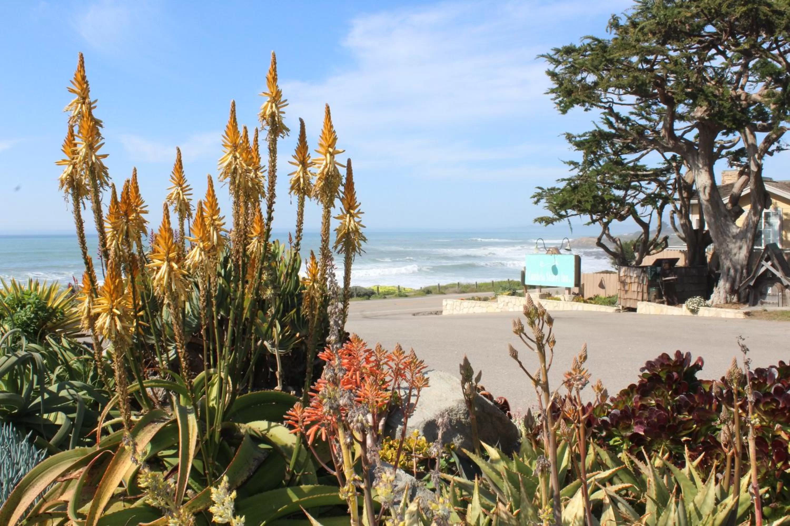 Garden view in Cambria Shores Inn