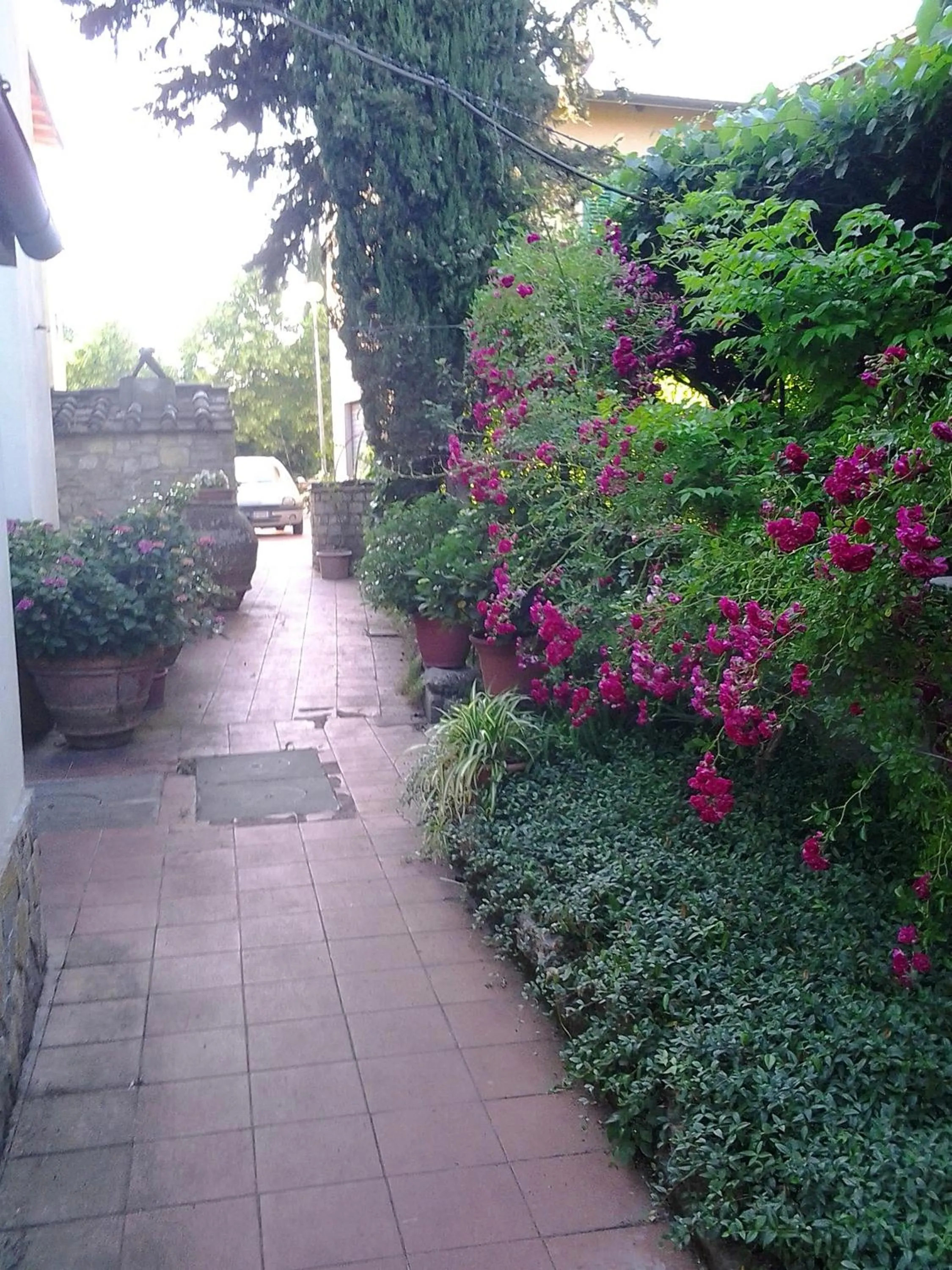 Garden view in Residence Casprini da Omero