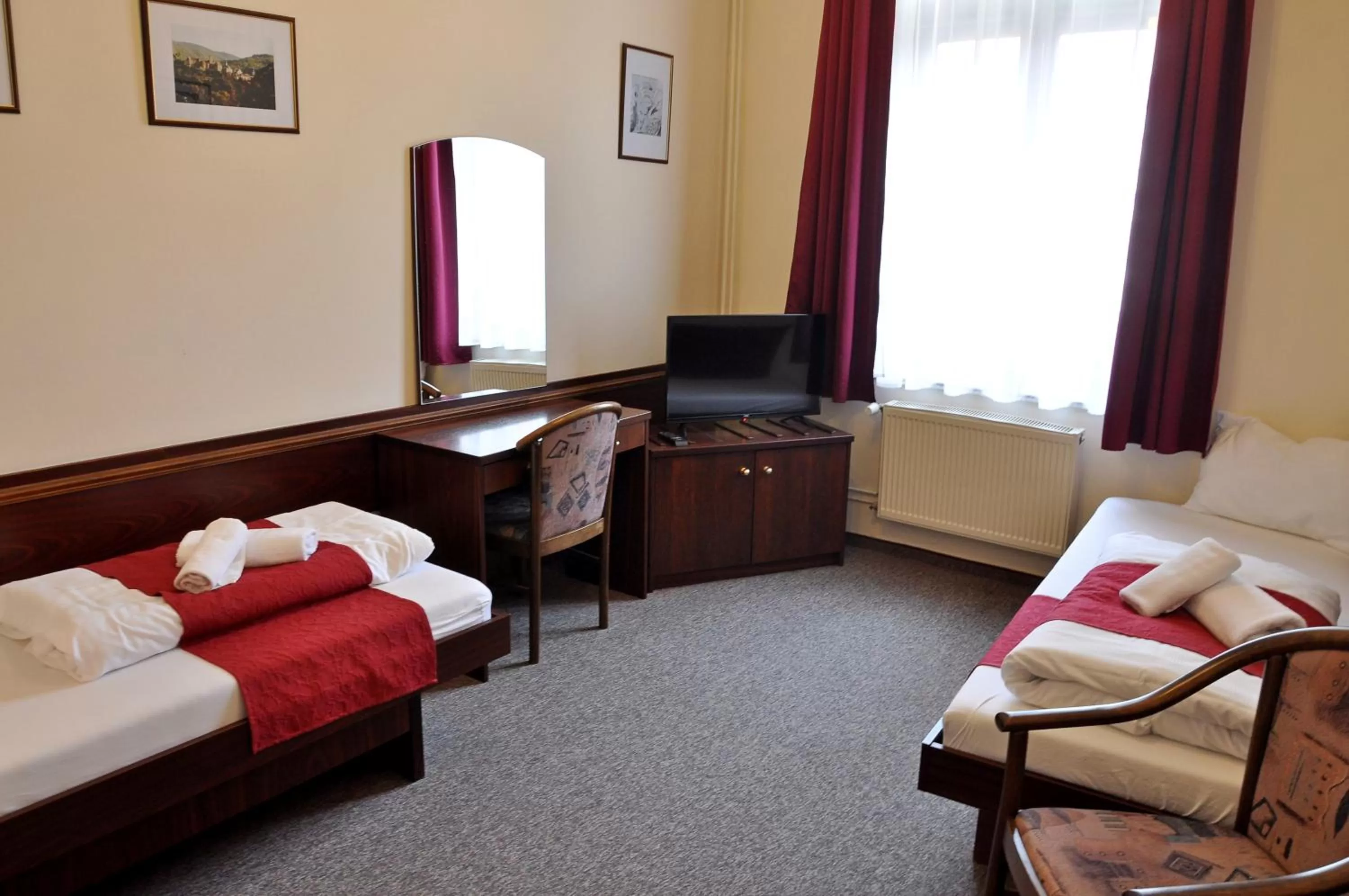 Twin Room - single occupancy in Hotel U Bílého koně