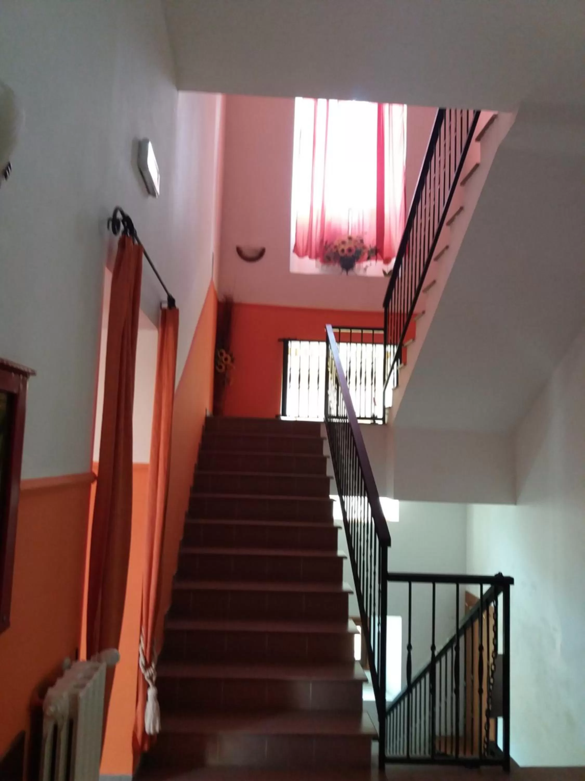 Budget Double or Twin Room - single occupancy in ostello ortensi