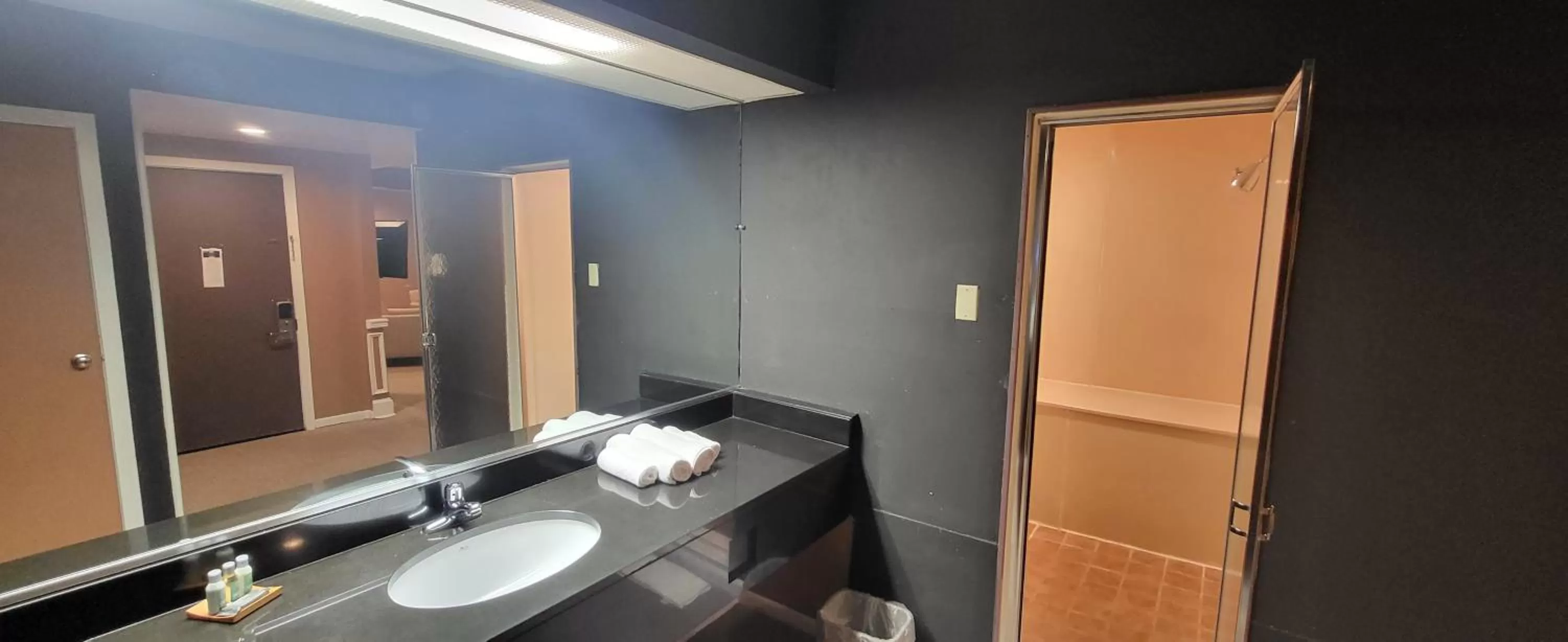 Bathroom in Inn of the Dove - Romantic Luxury Suites with Jacuzzi & Seasonal Fireplace at Harrisburg-Hershey-Philadelphia, PA