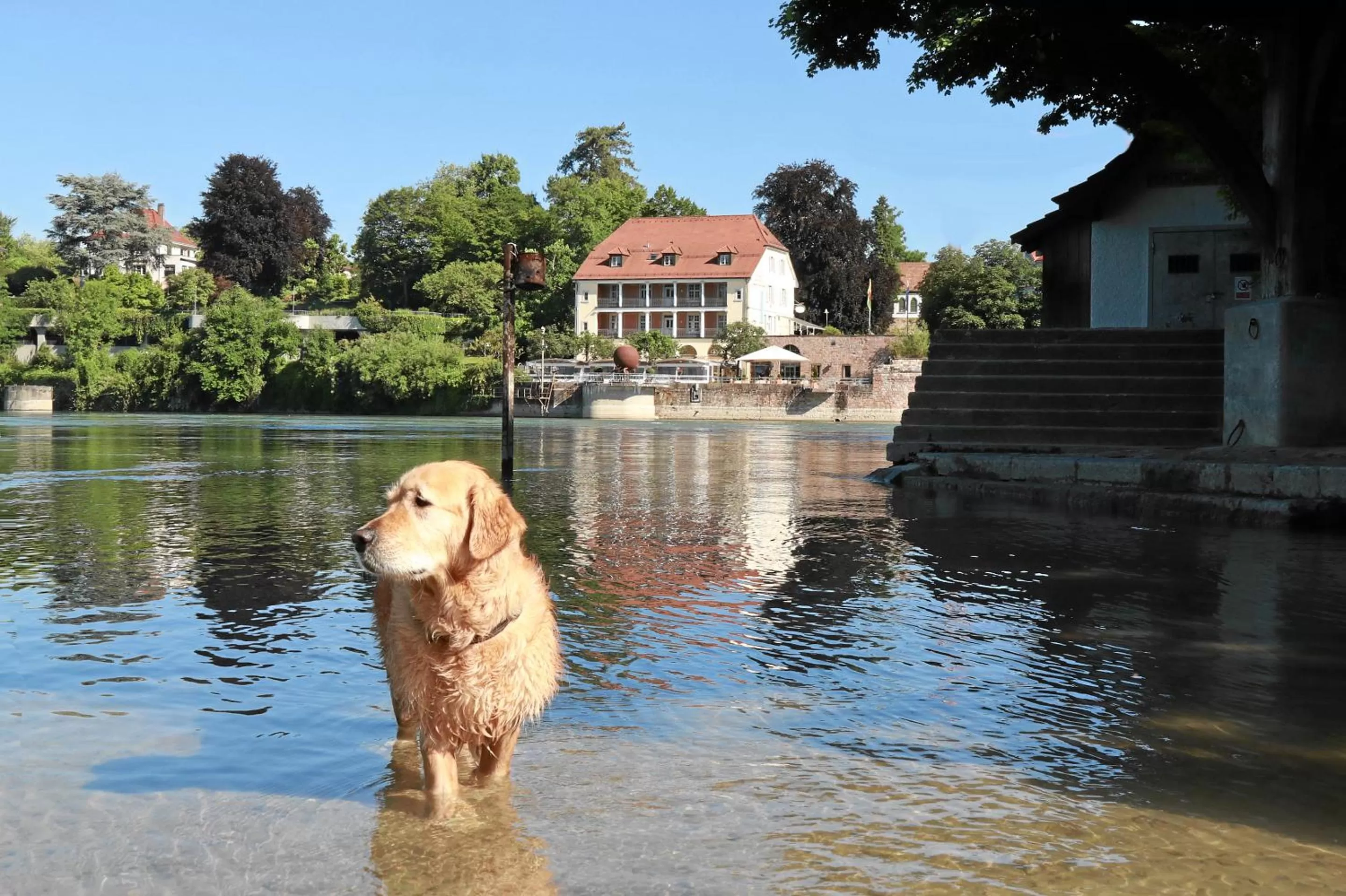 Natural landscape in Hotel Danner