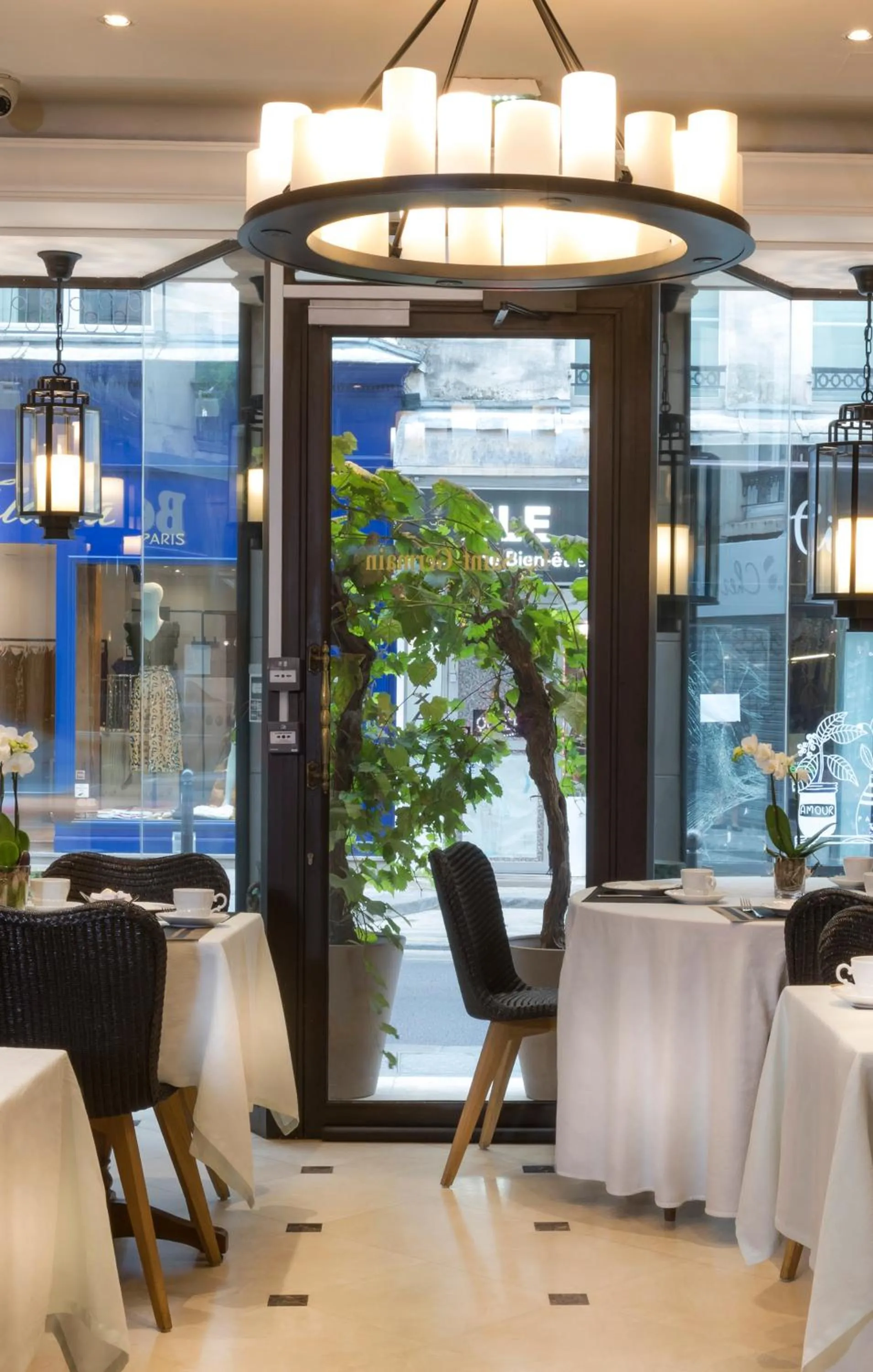 Area and facilities in Dauphine Saint Germain