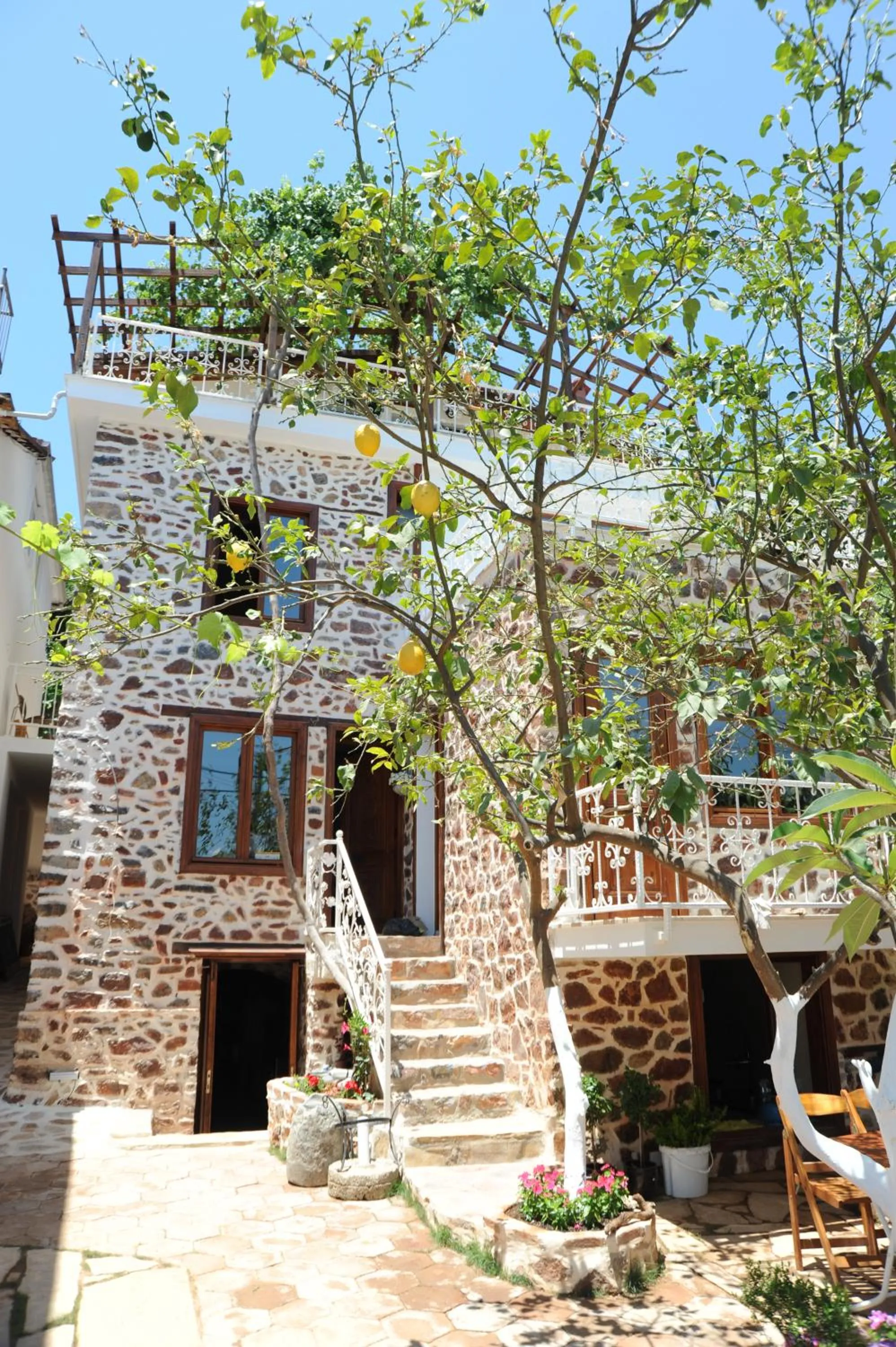 Facade/entrance in Lemon Villa Hotel