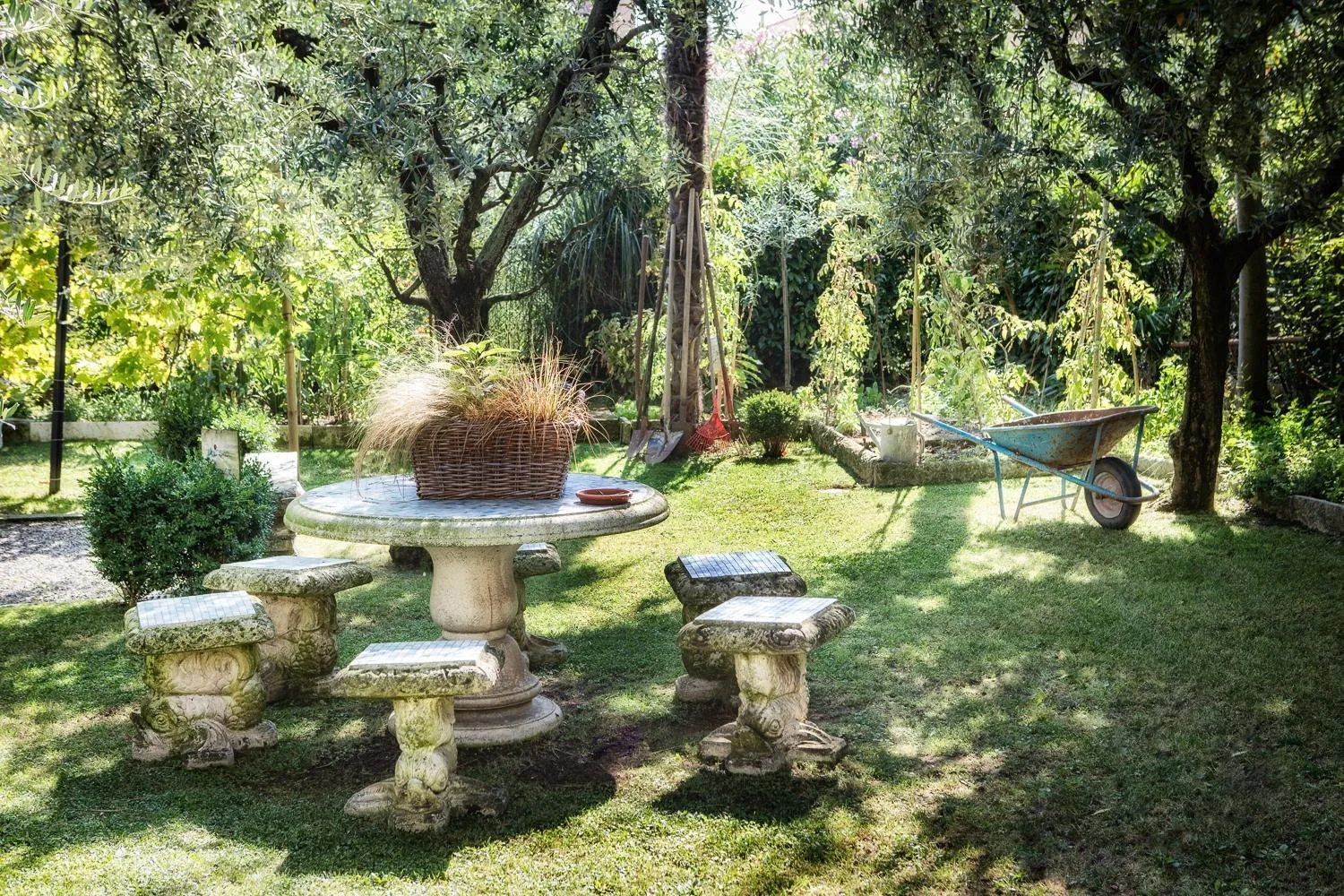 Garden in Hotel Piccola Vela