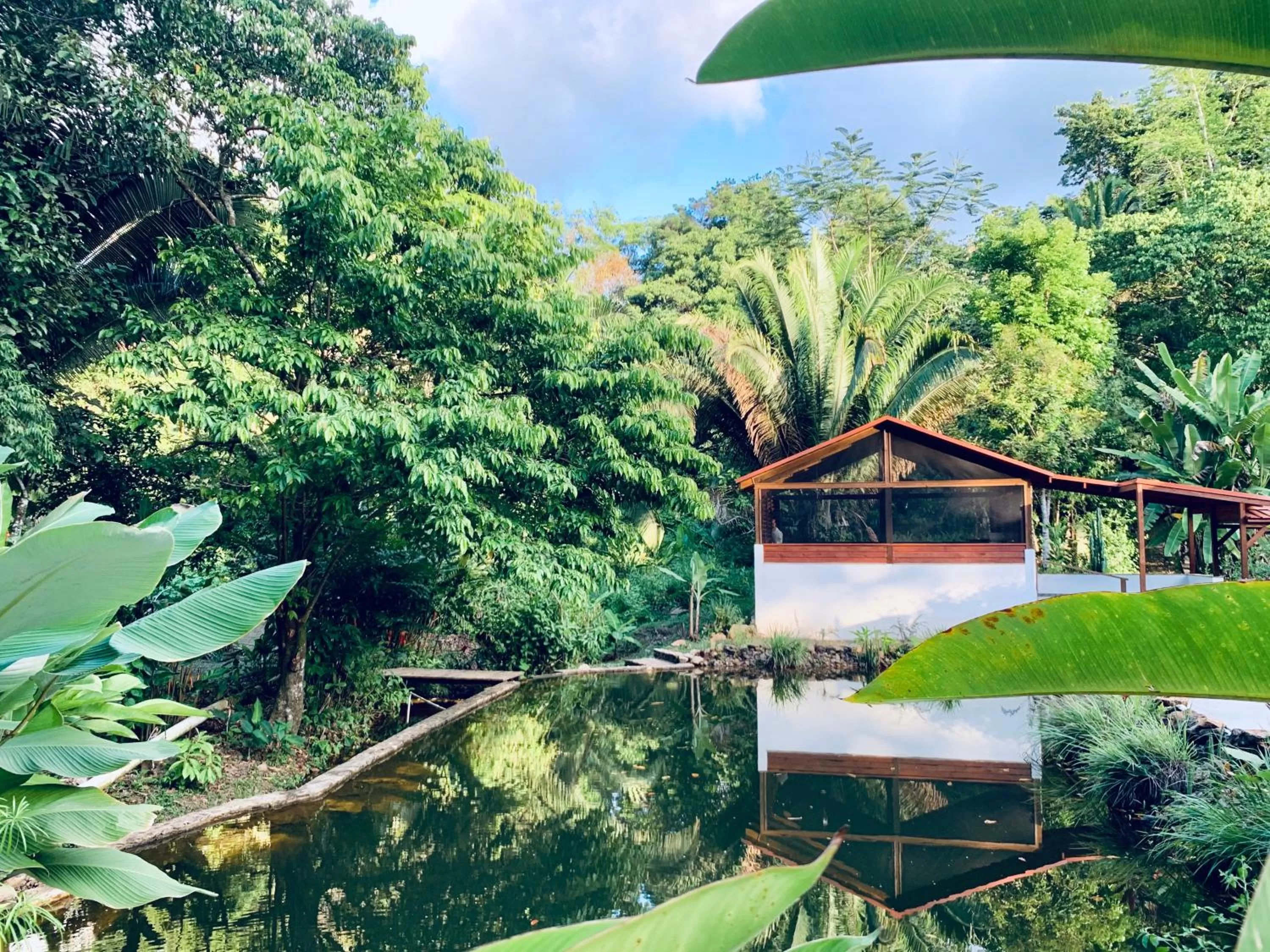 Pool view in Sattva Land