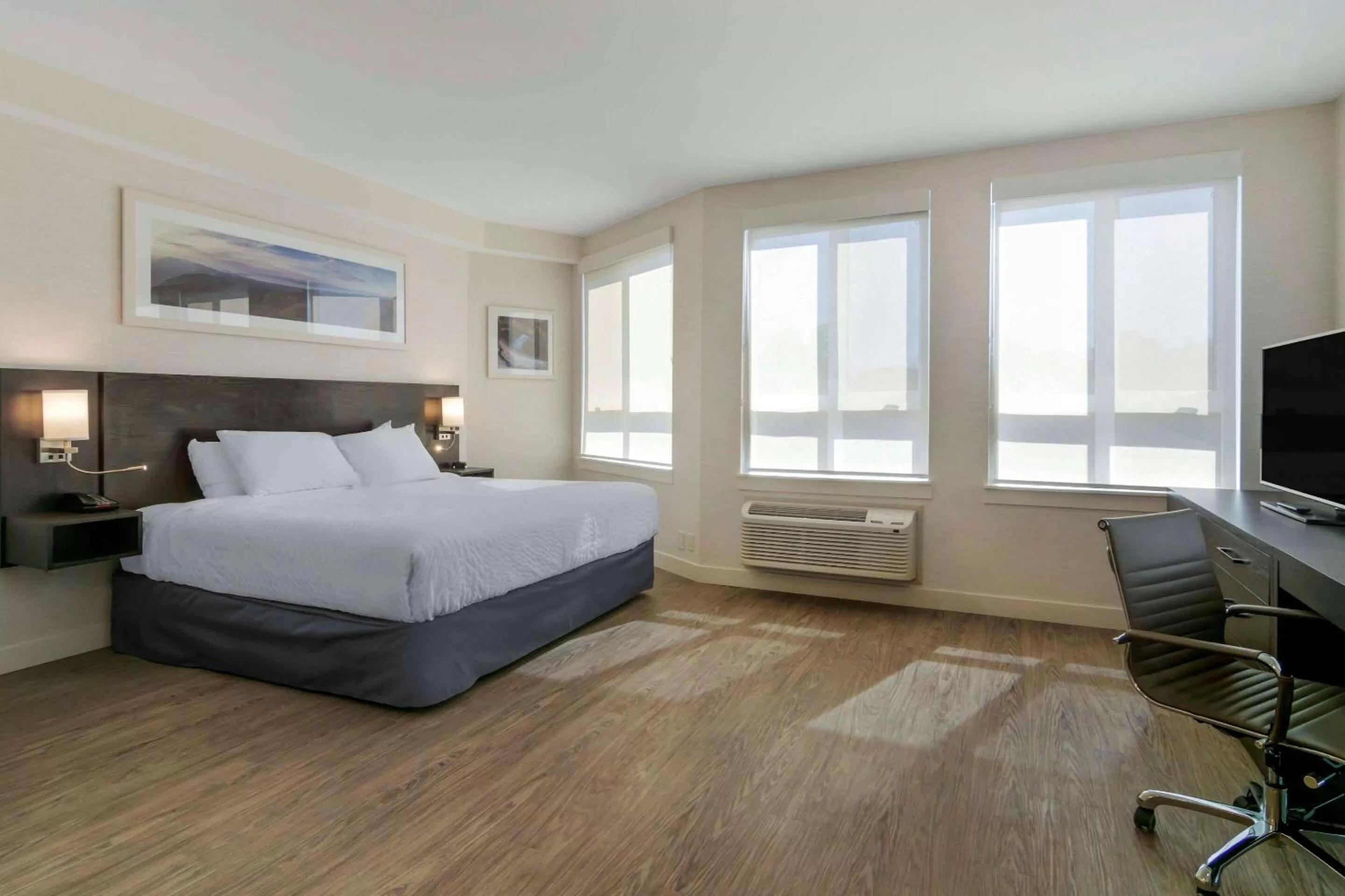 Photo of the whole room, Bed in Quality Inn