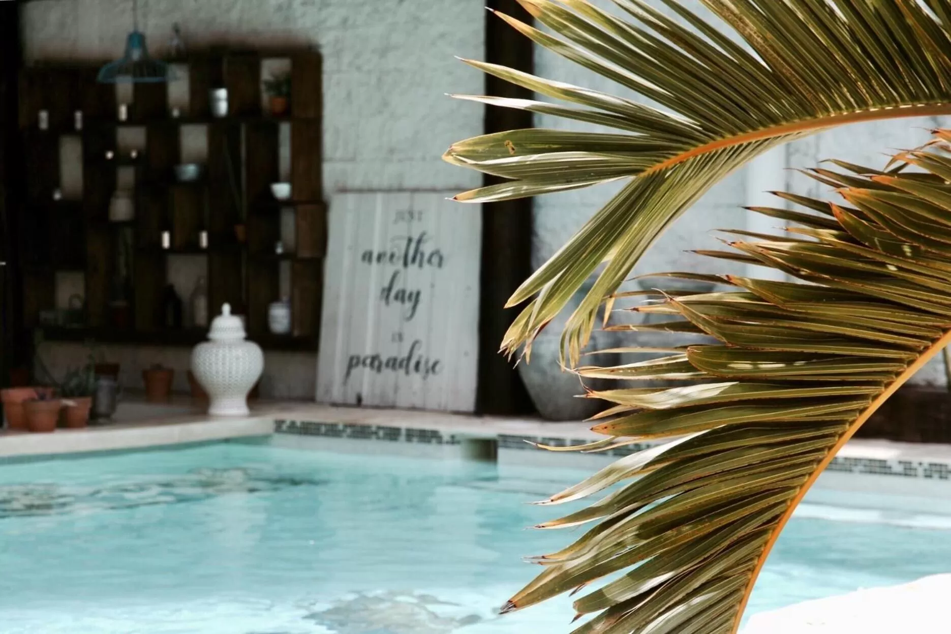 Swimming pool in Howlita Tulum - Adult Only