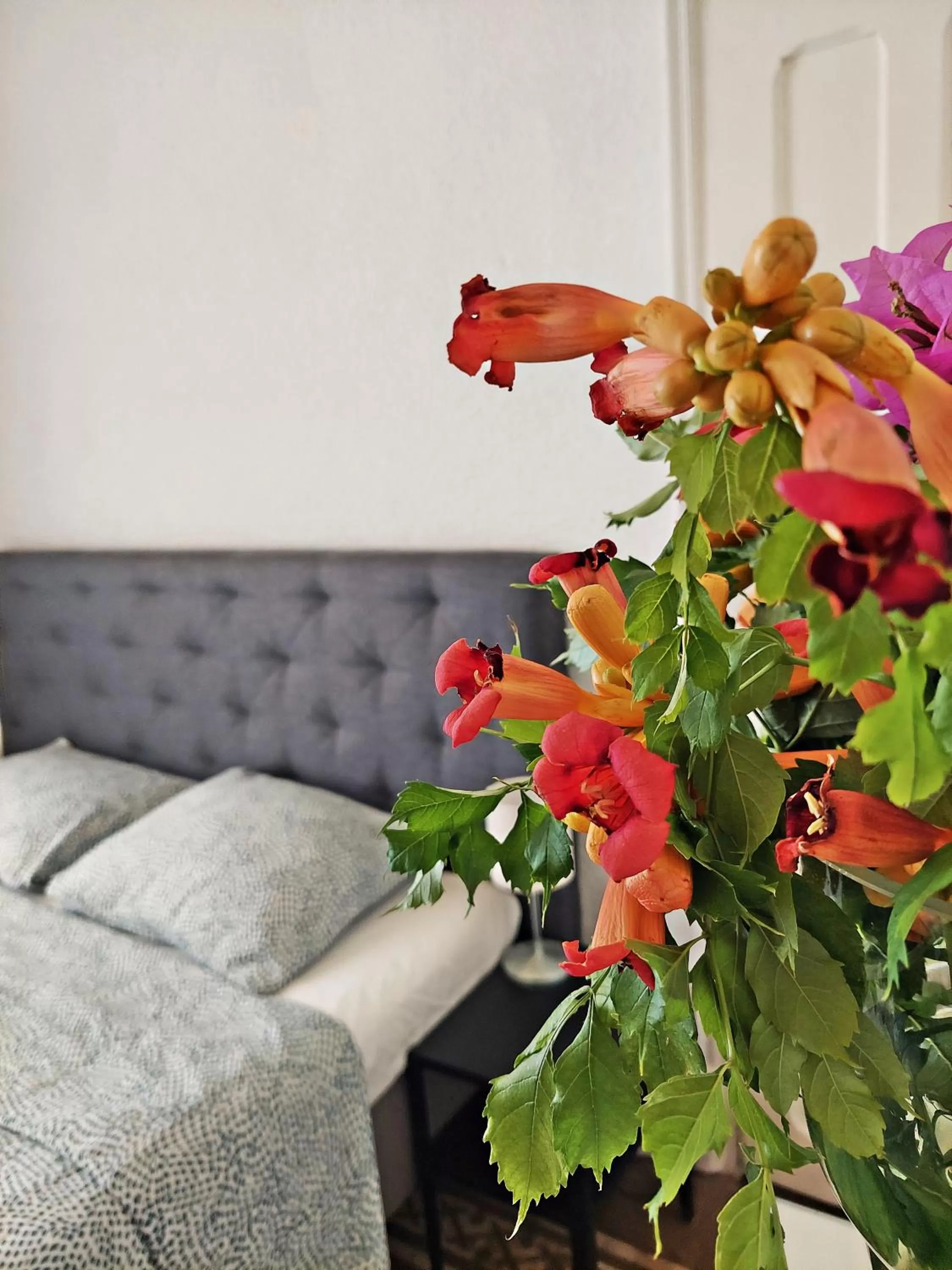 Decorative detail in N1 Casa de Madrid - greenpeace line