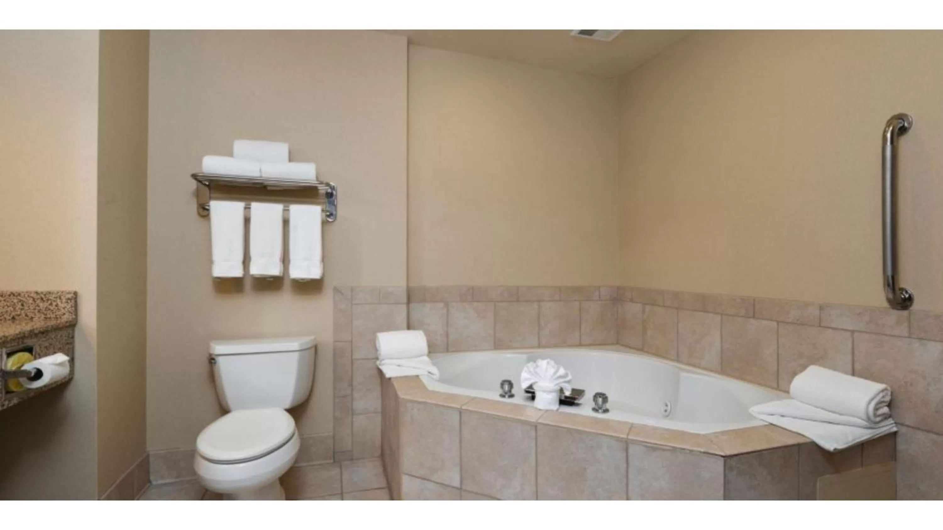 One-Bedroom Executive King Suite in Holiday Inn Express Hotel & Suites Cherry Hills, an IHG Hotel