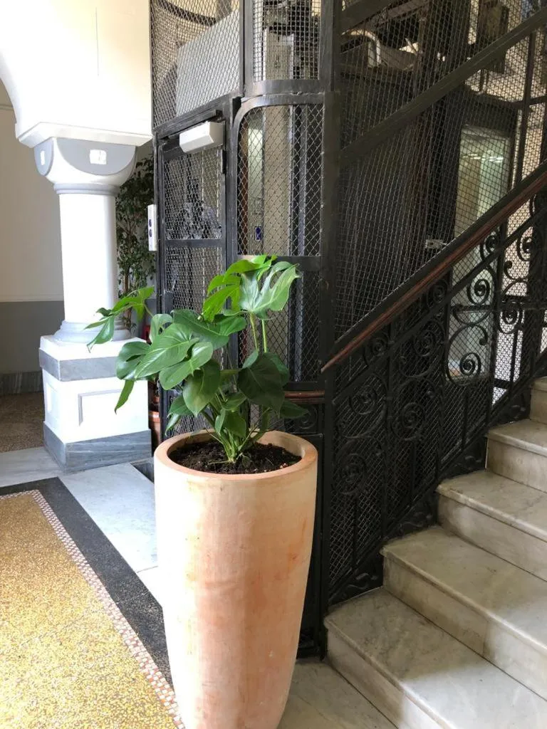Lobby or reception in Hotel Cimarosa
