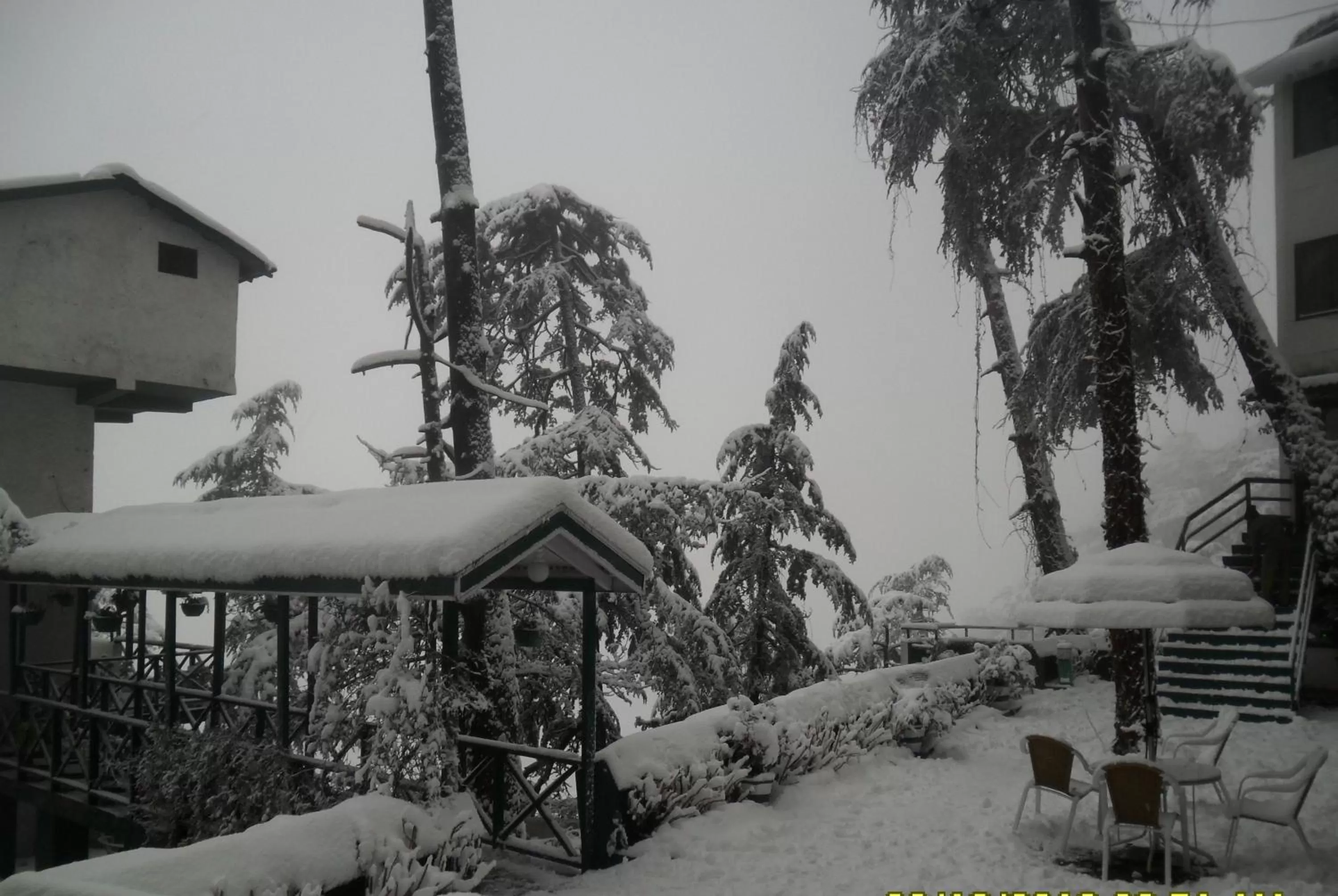 Natural landscape in Honeymoon Inn Shimla