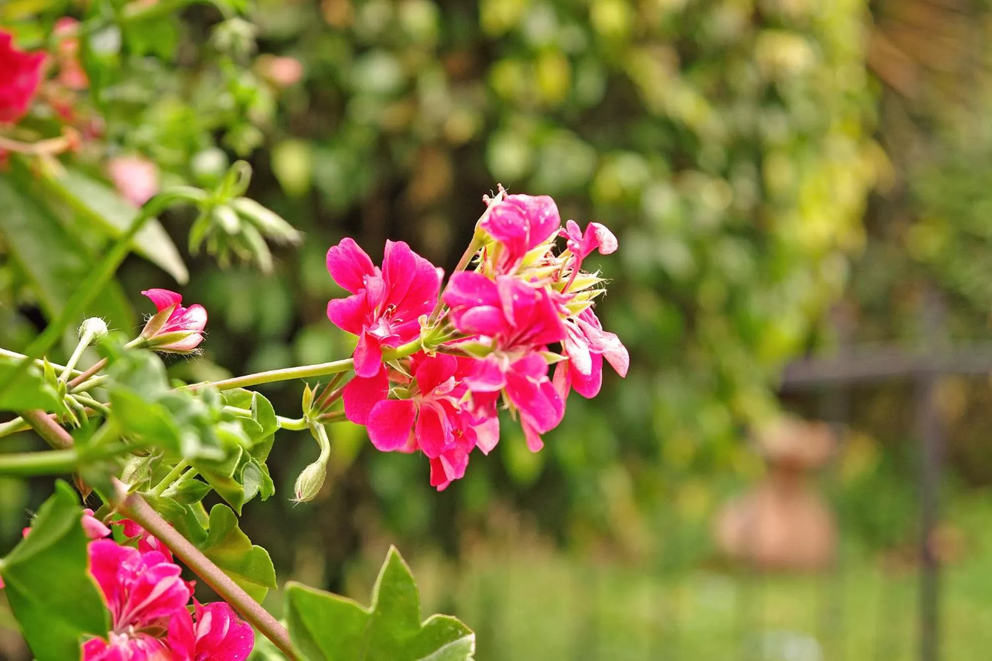 Off site in Hotel Florida