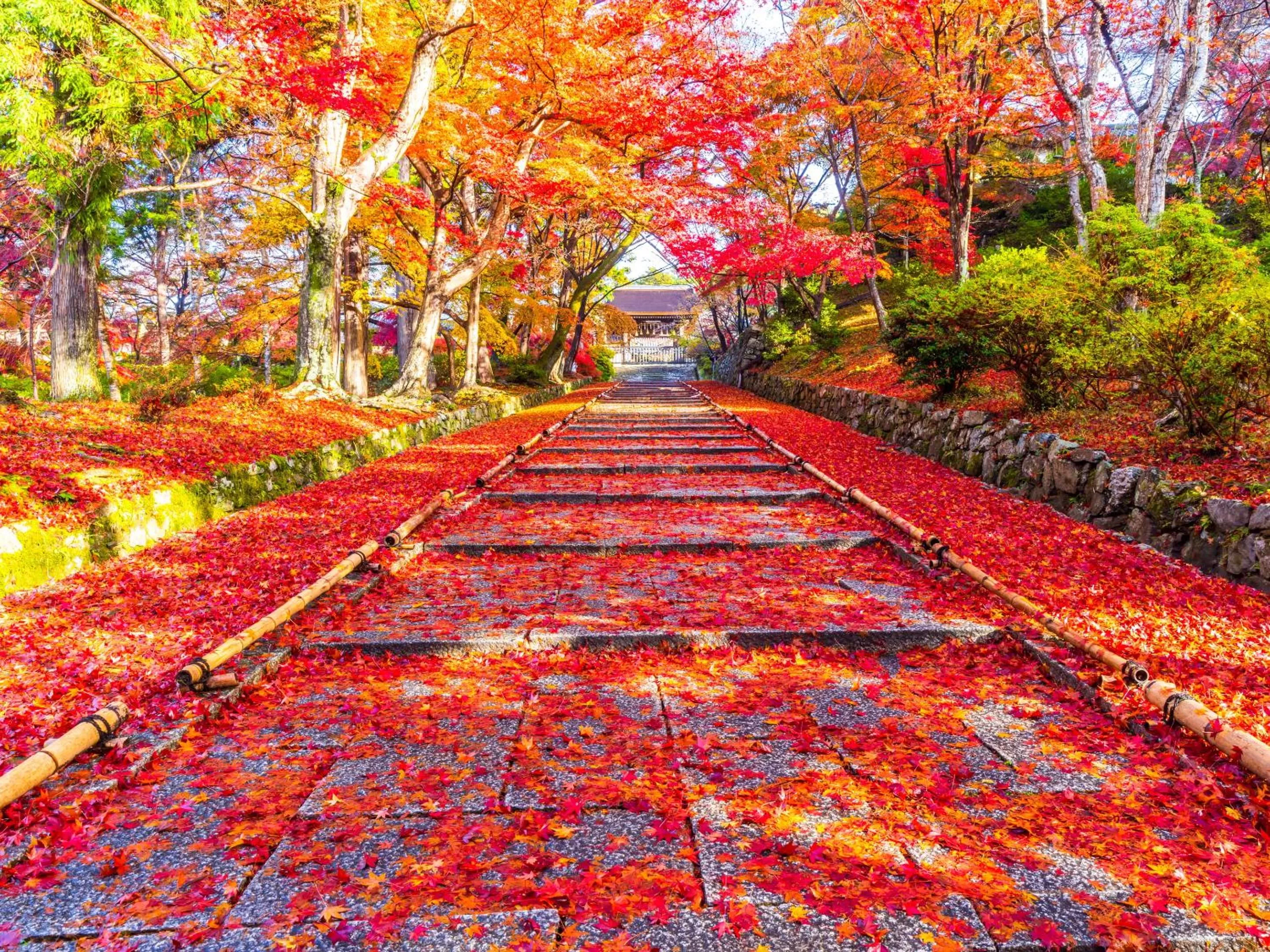 Nearby landmark in THE MACHIYA EBISUYA