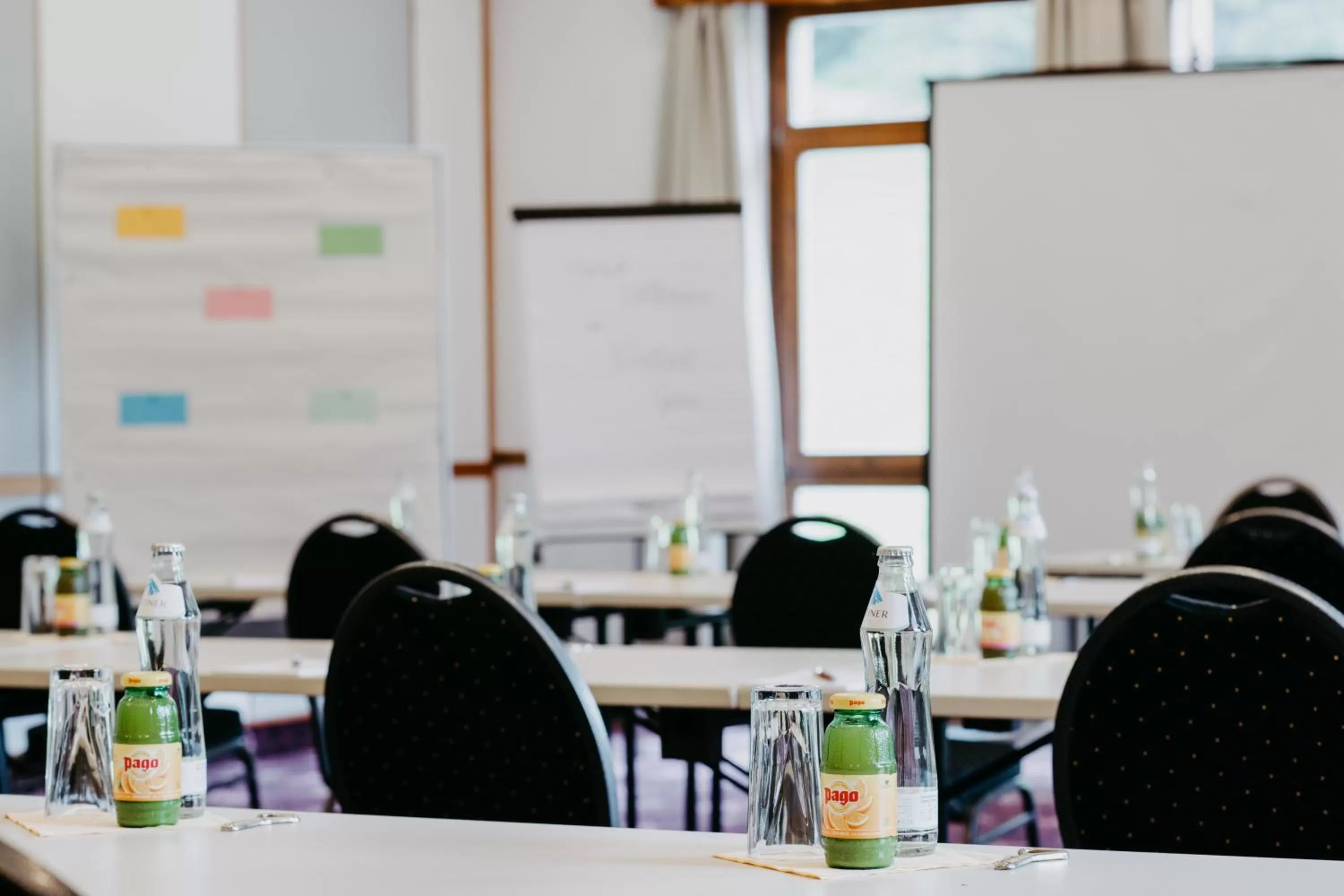 Business facilities in Vitalhotel Gosau