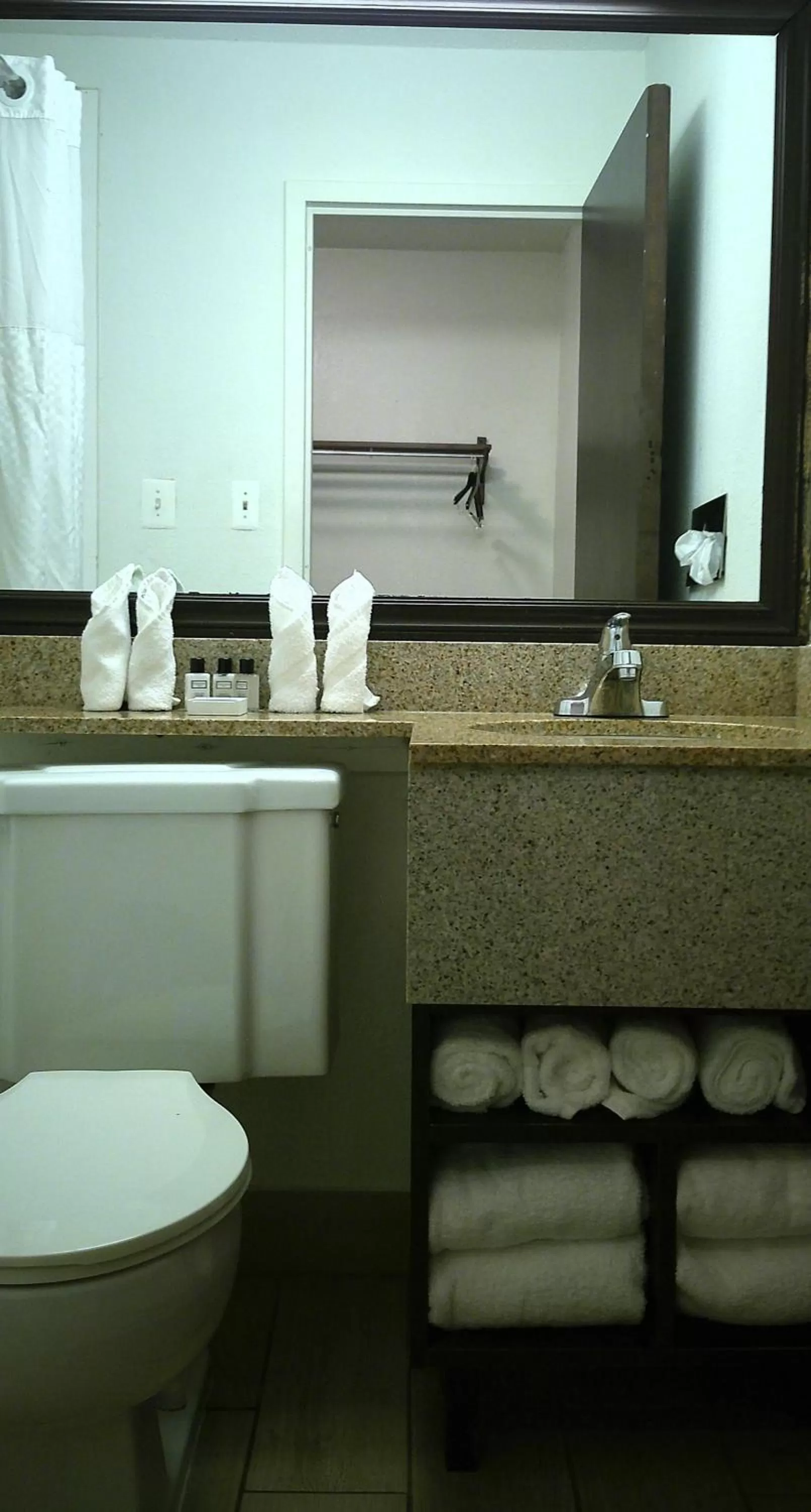 Wyndham Garden Detroit Metro Airport