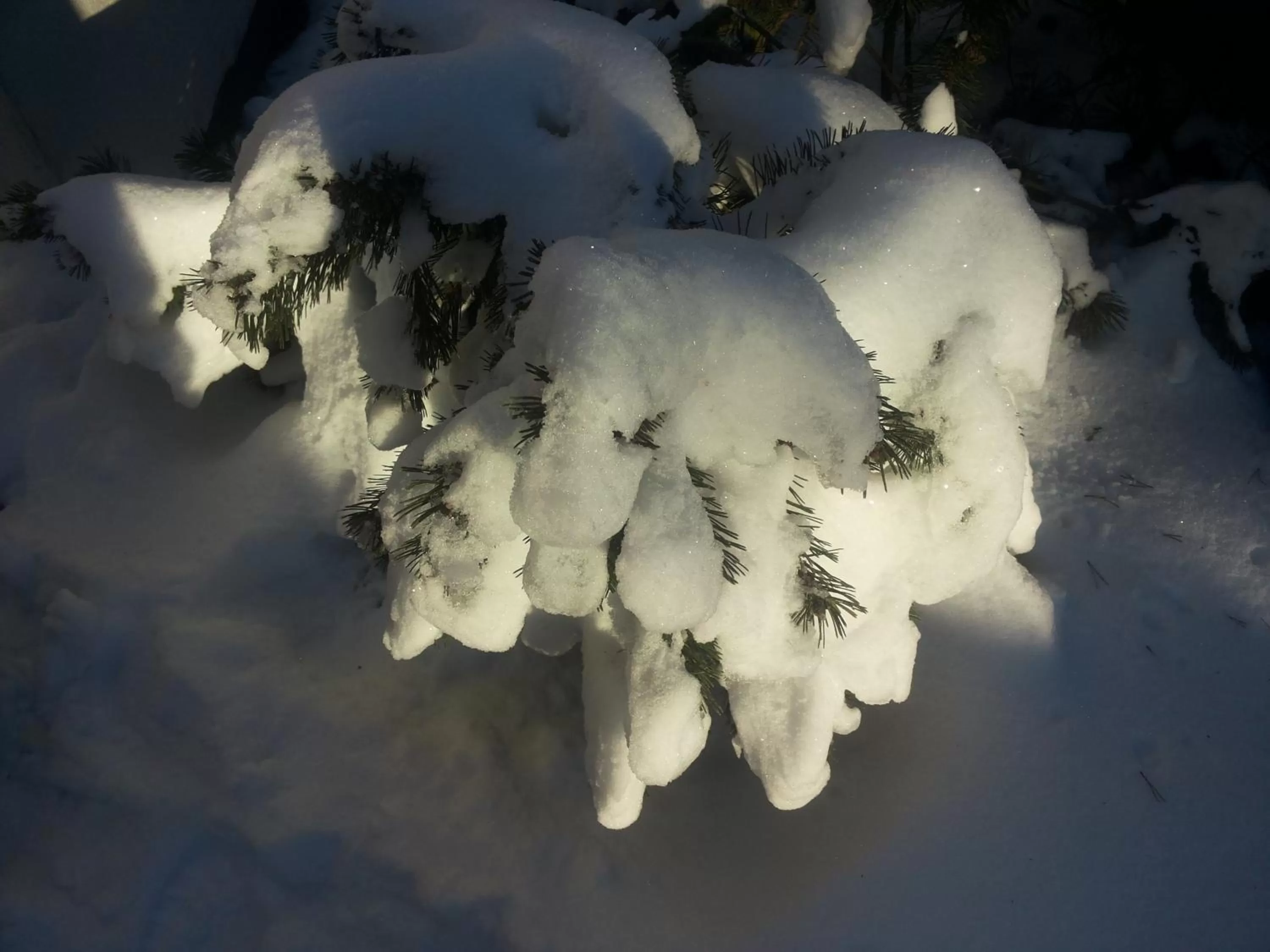 Property building in Orchidee Altenau