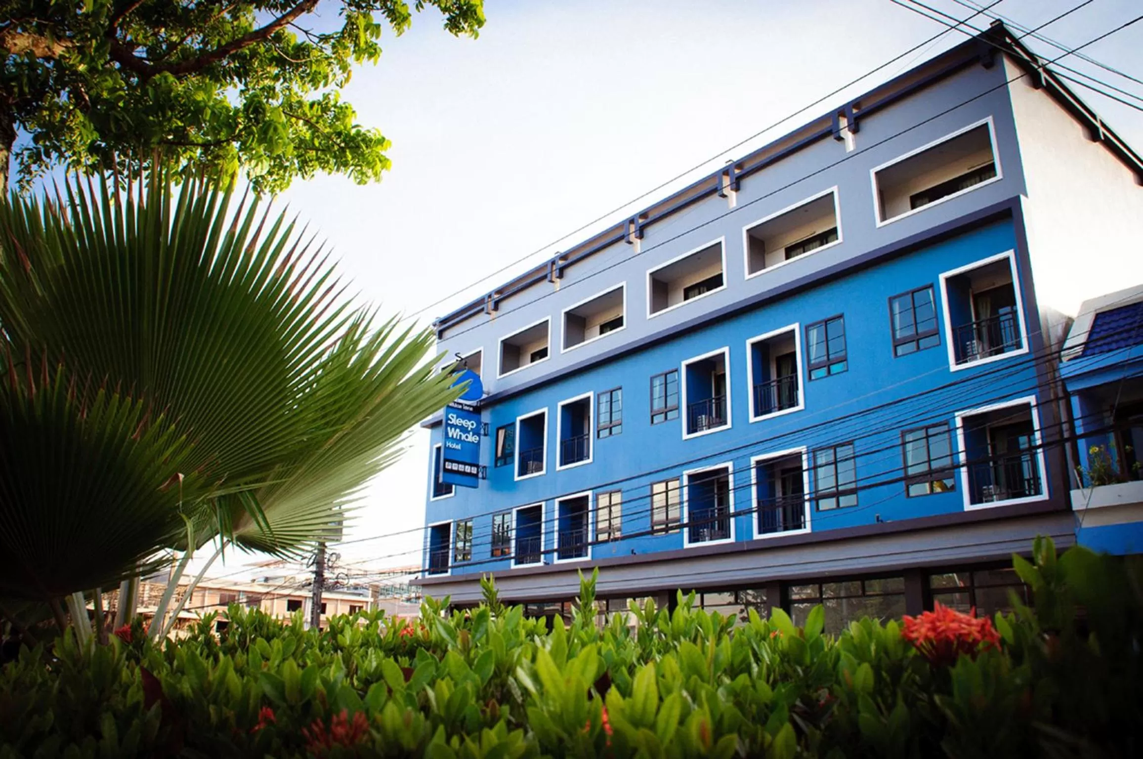 Facade/entrance in Sleep Whale Hotel