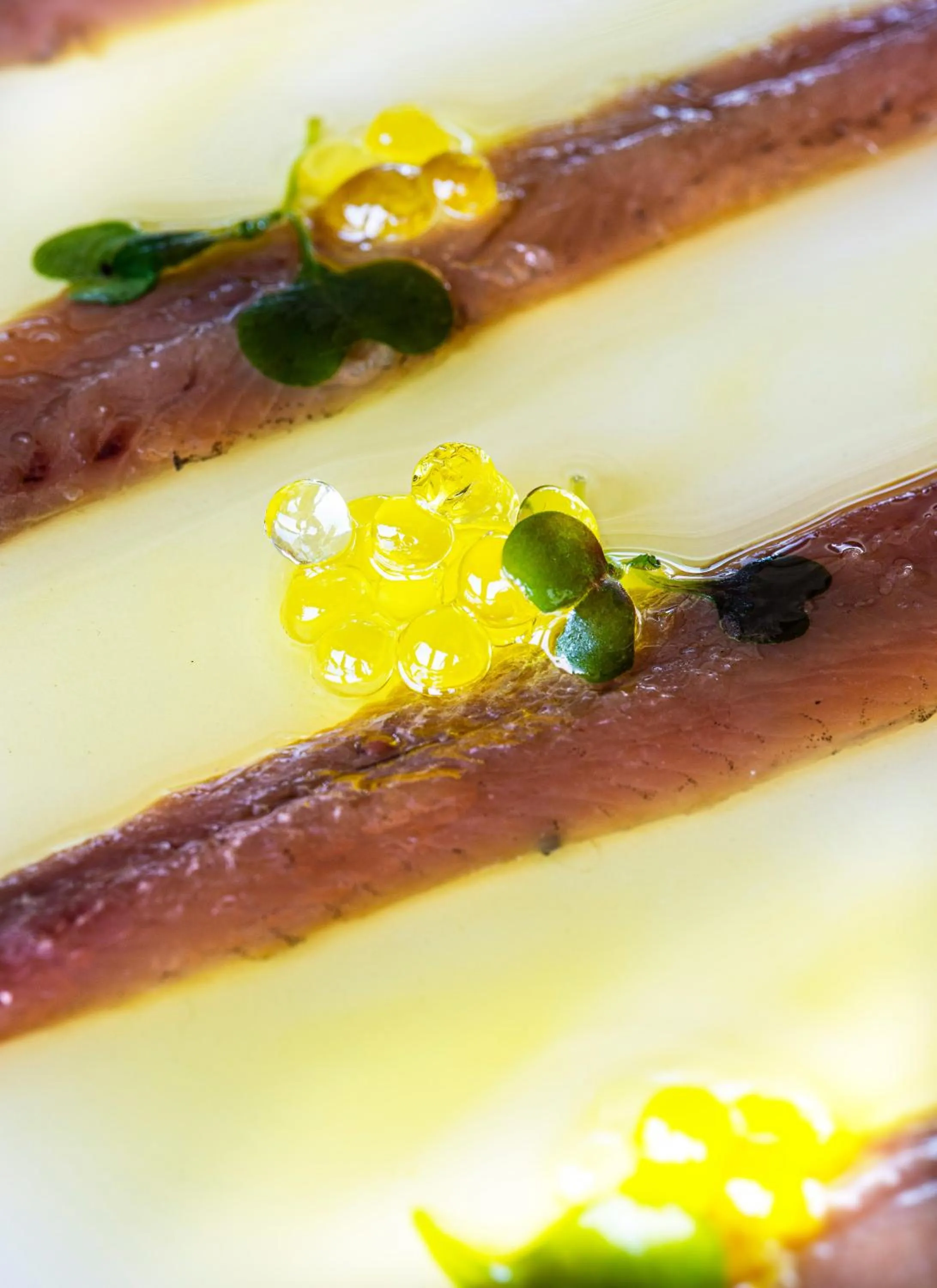 Hotel Maritim 4 Superior