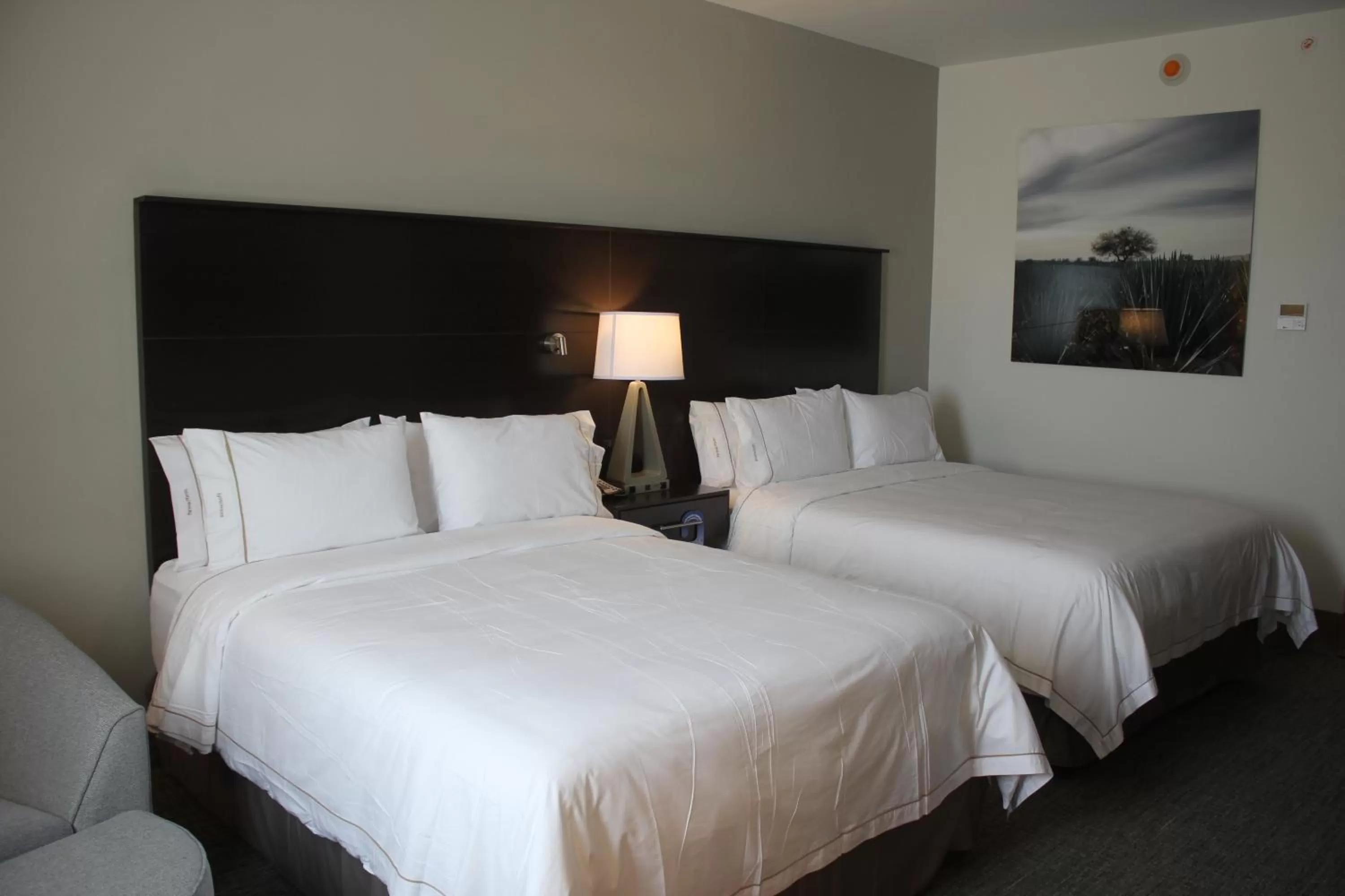 Photo of the whole room, Bed in Holiday Inn Express & Suites Silao Aeropuerto Terminal by IHG