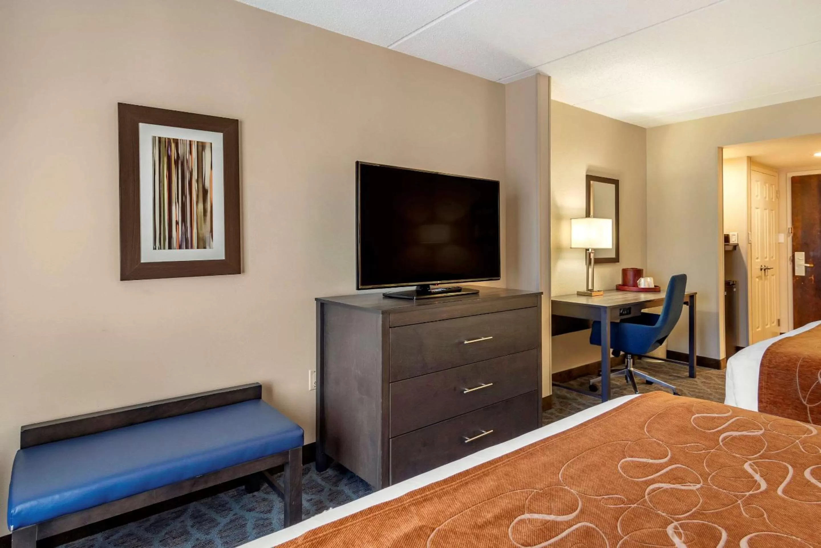 Photo of the whole room, Bed in Comfort Suites Alpharetta-Roswell - Atlanta Area