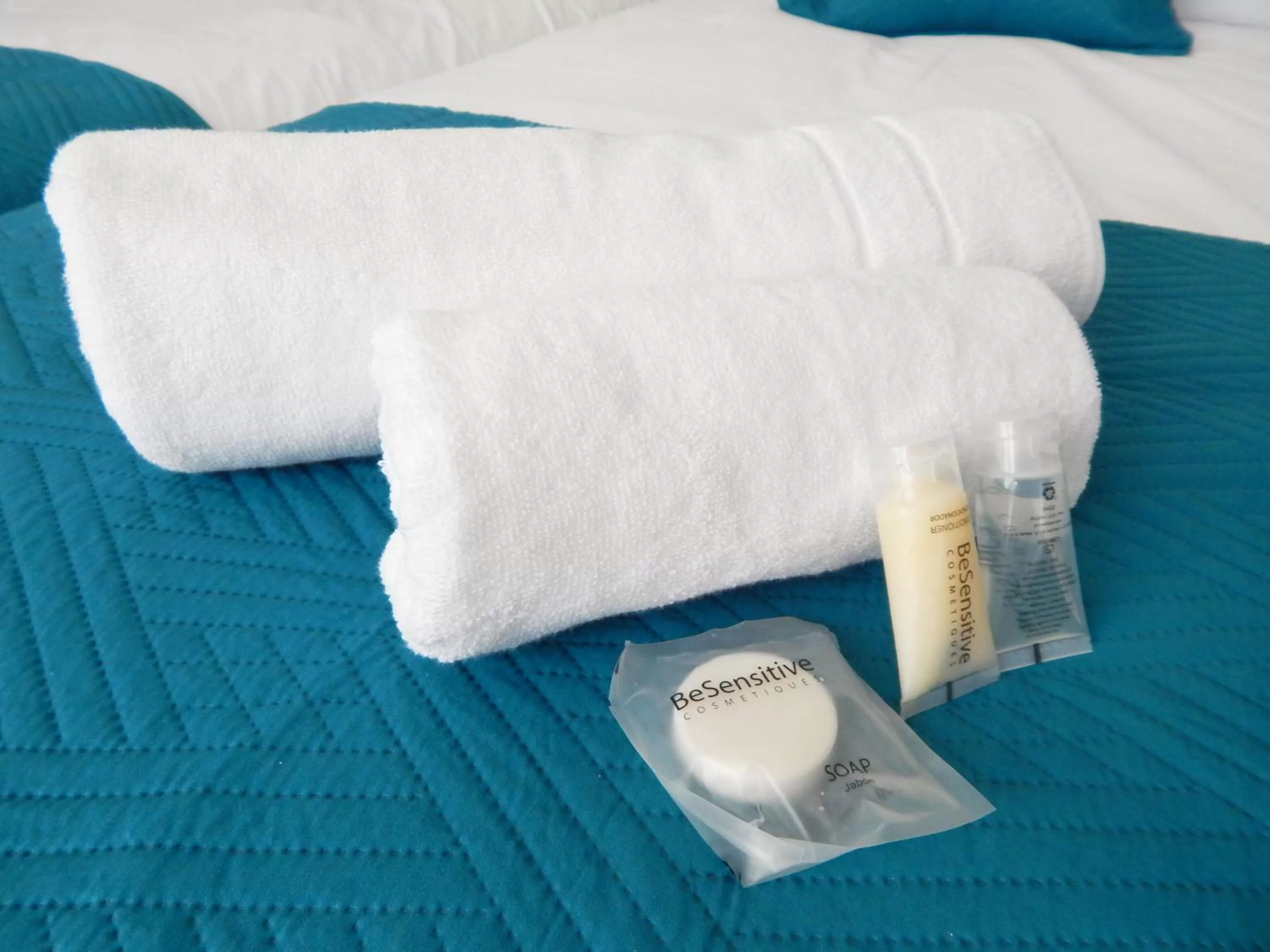 Toilet in Hostal Buenavista Patagonia