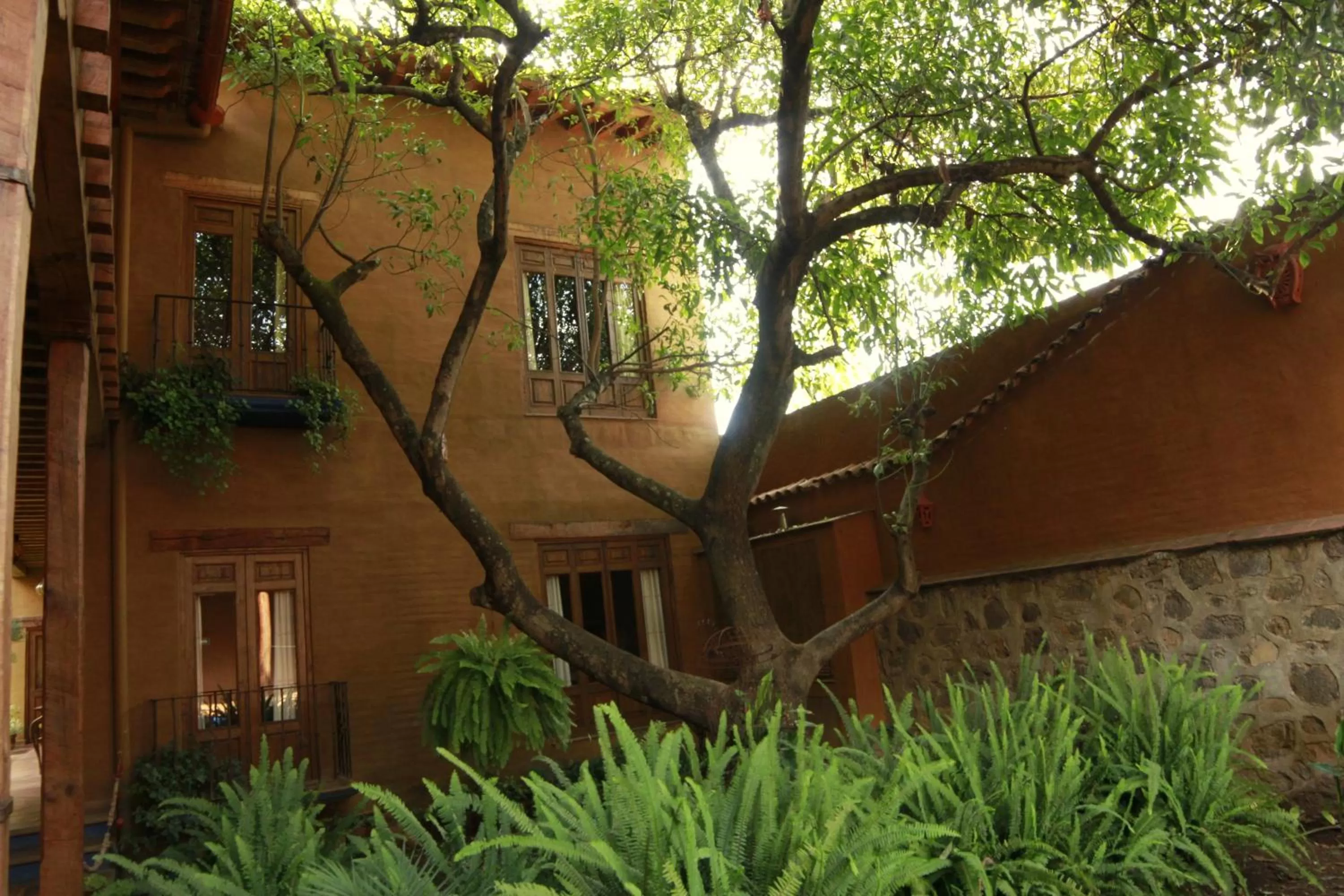 View (from property/room) in Posada Yolihuani