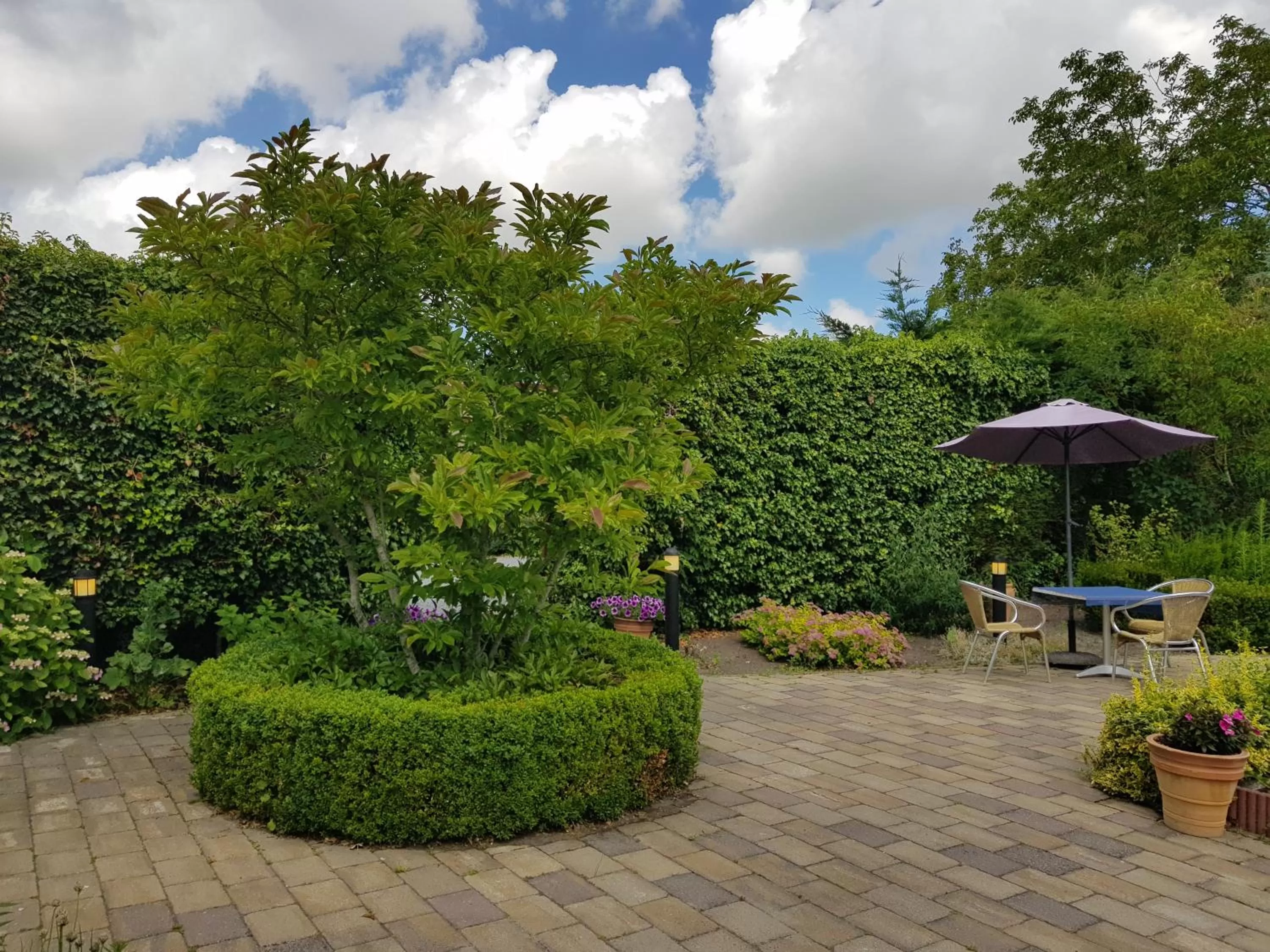 Garden view in Hotel Le Provencal