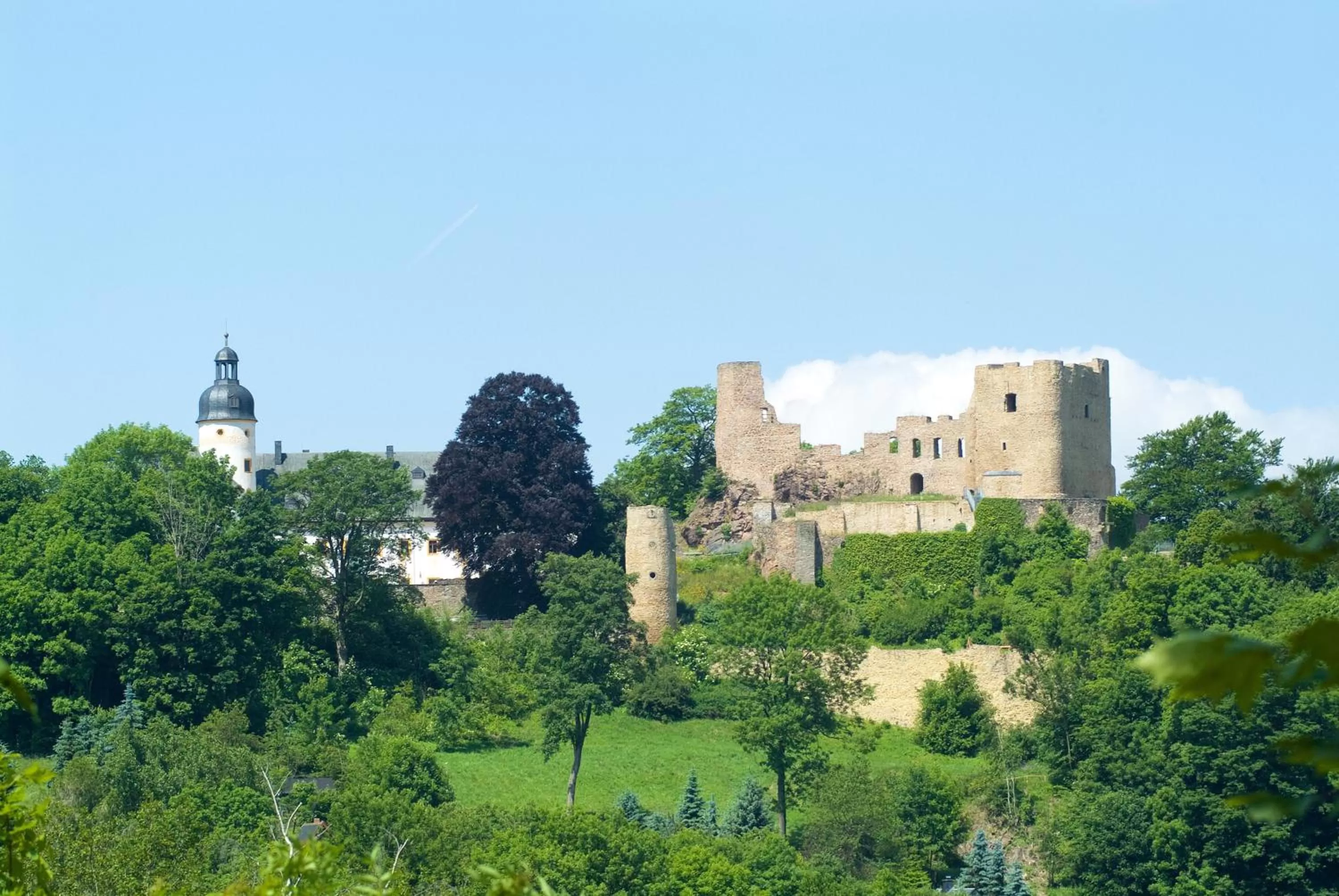 Area and facilities in Hotel Frauensteiner Hof
