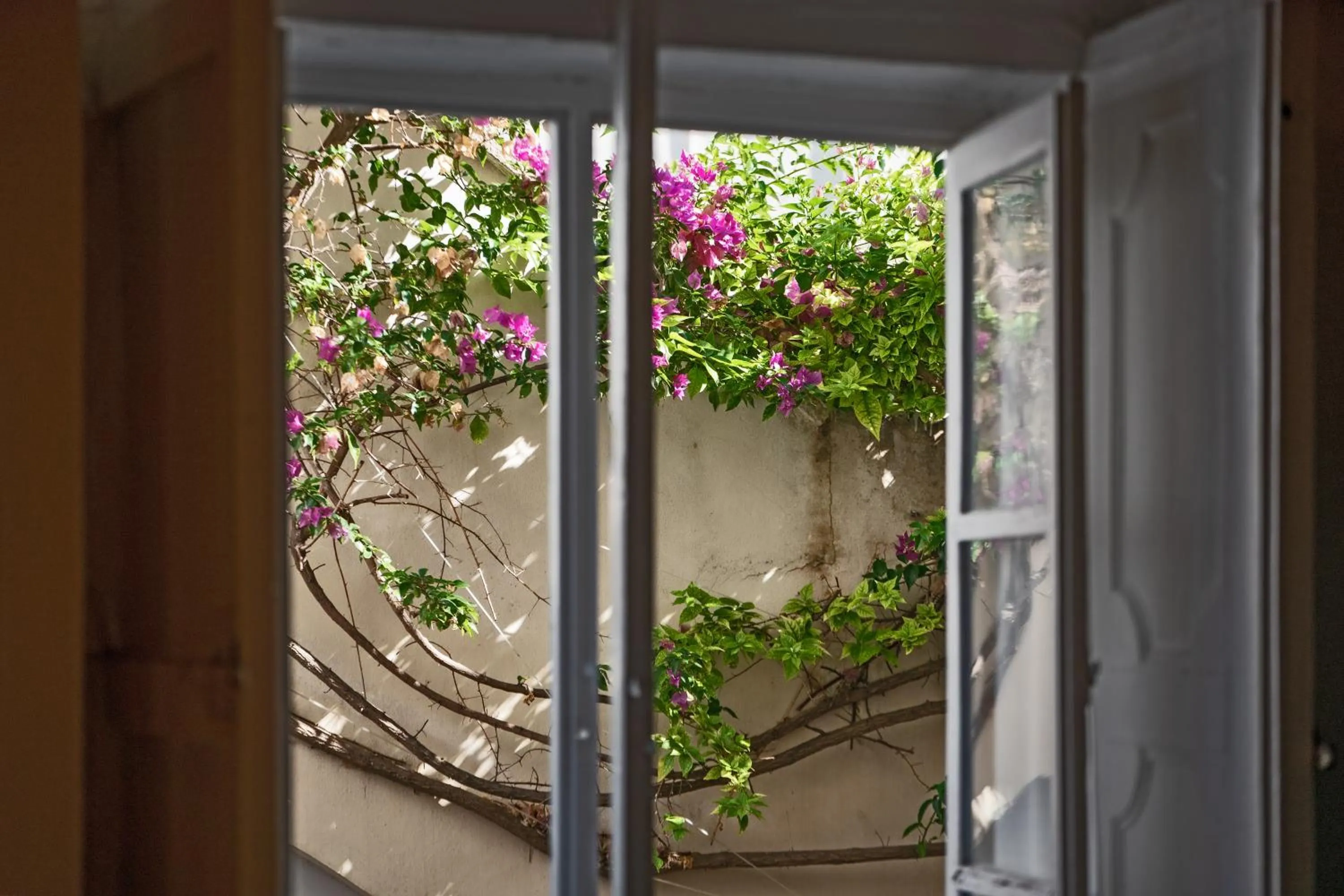 Garden view in Relais Corte Palmieri & Il Chiostro - Residenza d'epoca