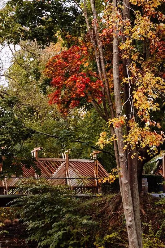 Garden in Drake Devonshire and Motor Inn