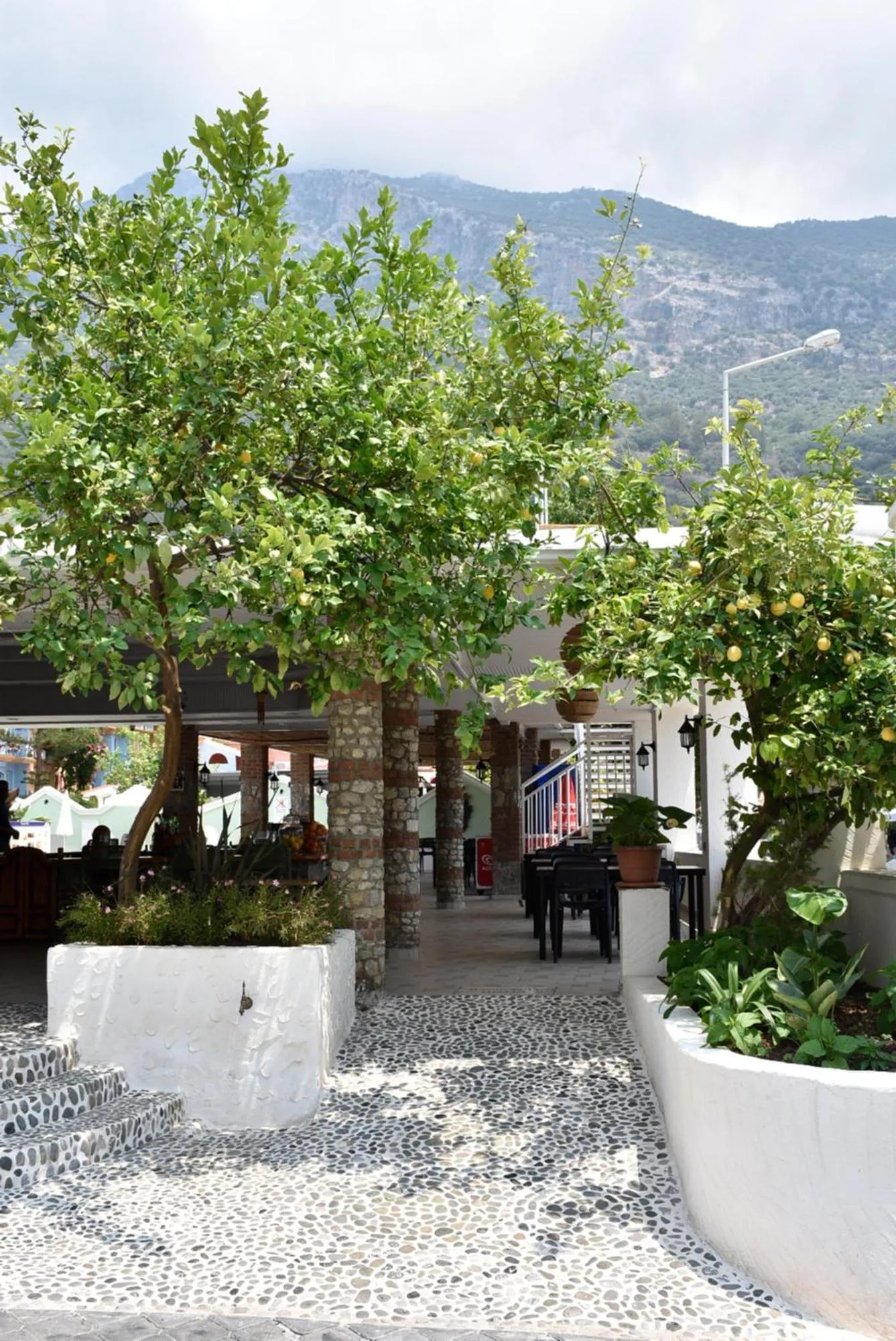 Facade/entrance in Magic Tulip Hotel