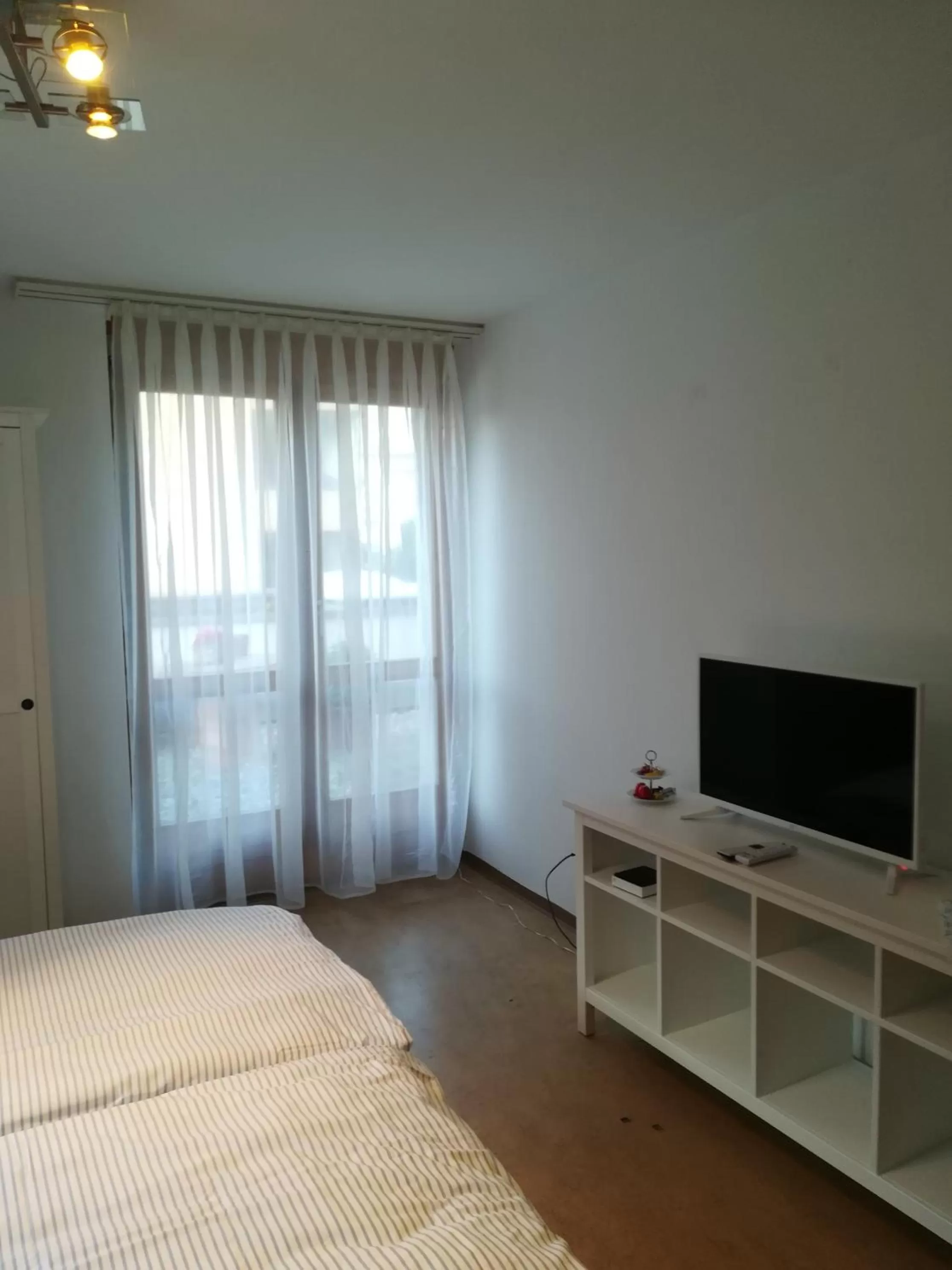 TV/Entertainment Center in Bed & Breakfast