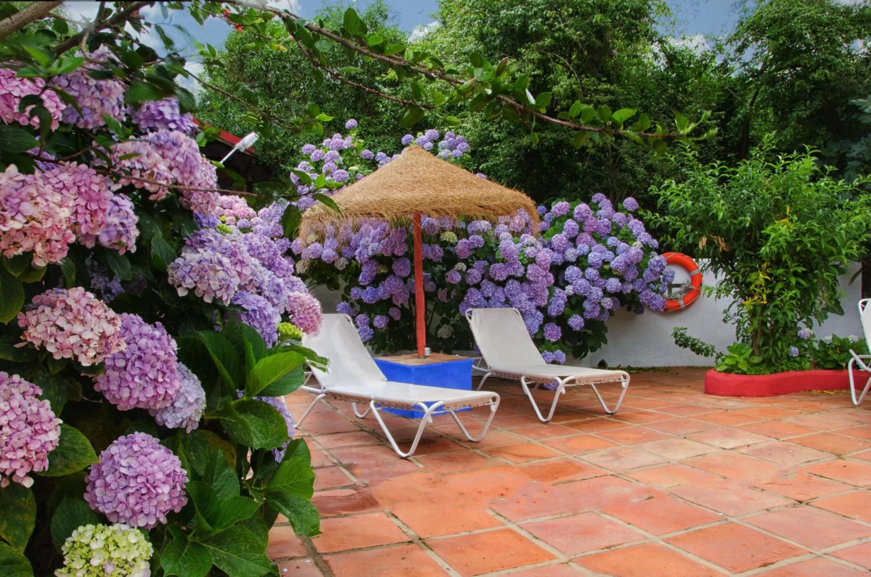 Balcony/Terrace in Mesón de Sancho