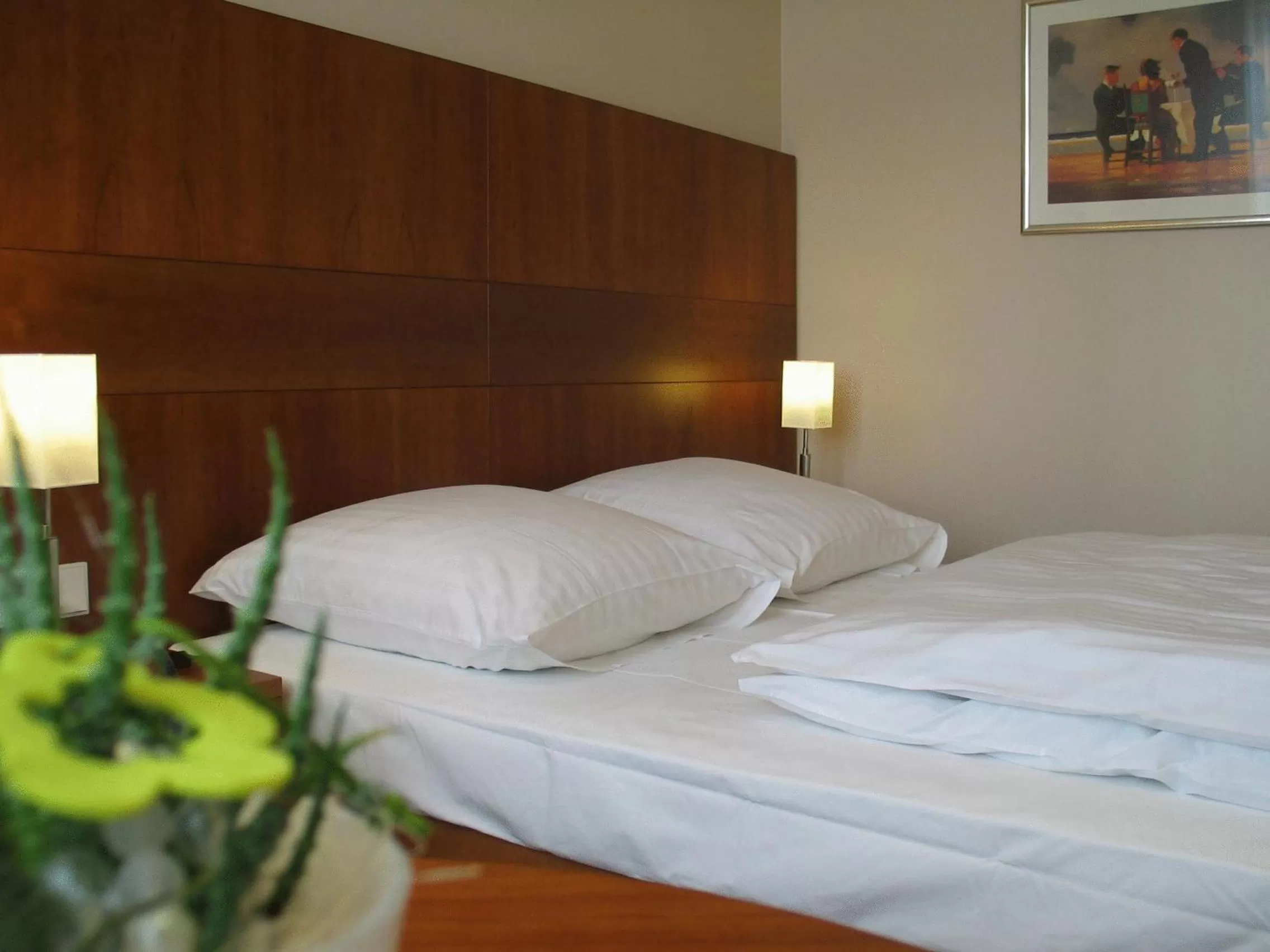 Bed in Hotel Lindenhof