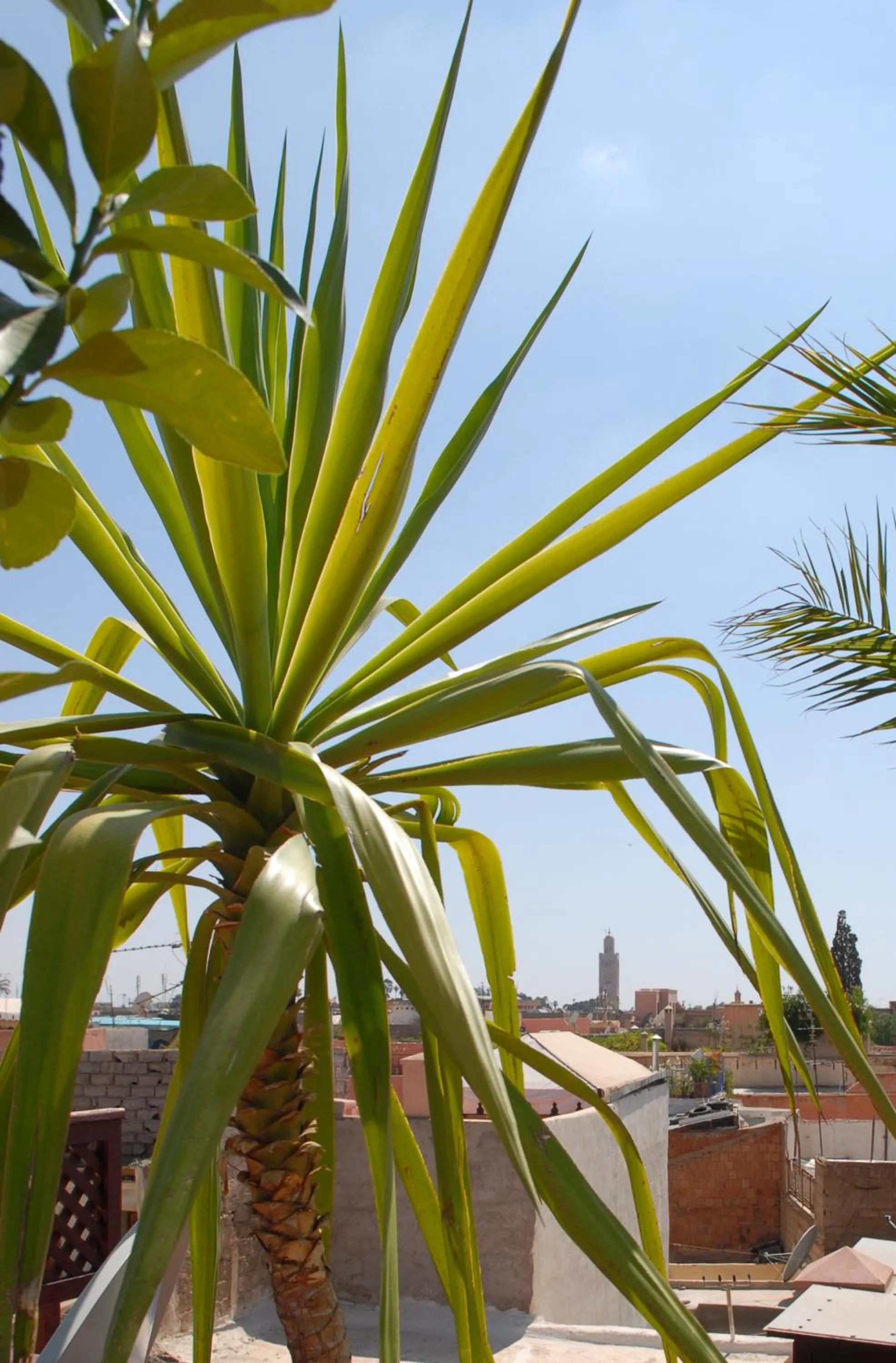 Area and facilities in Riad Aubrac