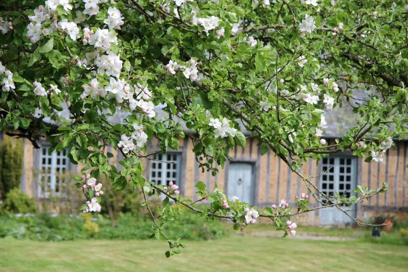 Le Pommenial de la Hérissonnière