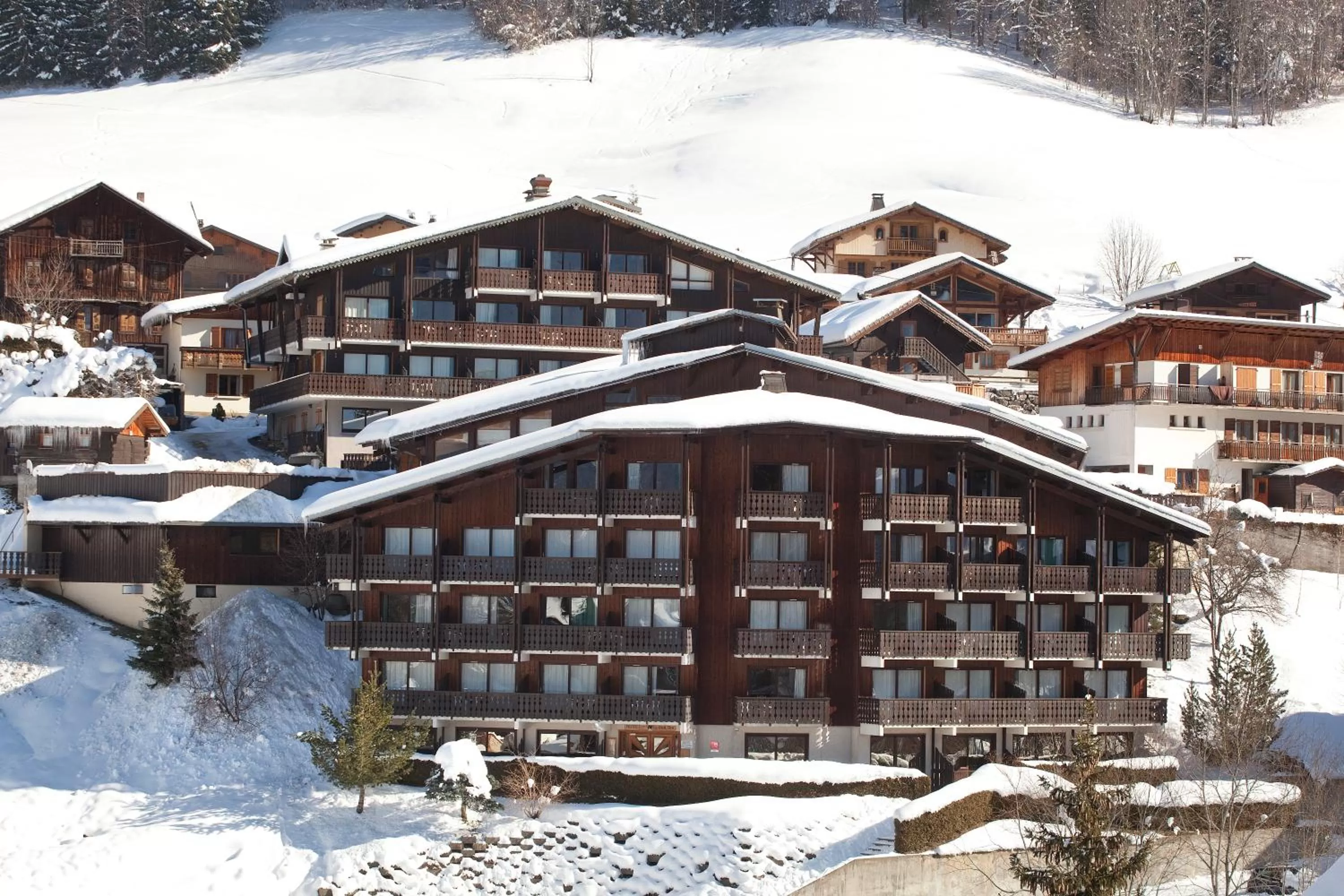 Facade/entrance in Hotel le Petit Dru