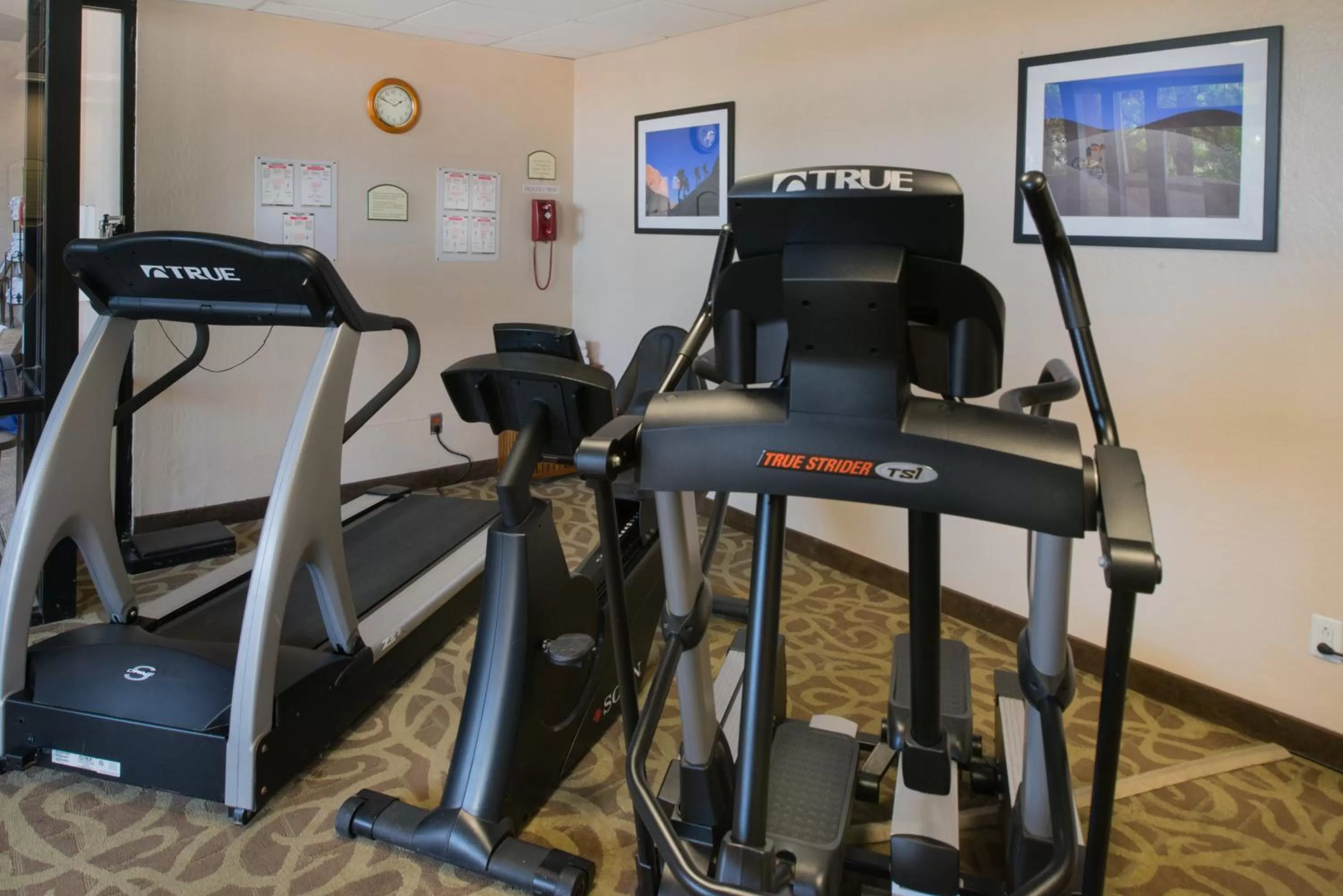 Fitness centre/facilities in GreenTree Hotel Phoenix West