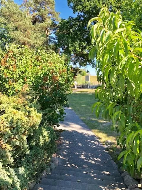 View (from property/room) in Hotel-Marks-Garni