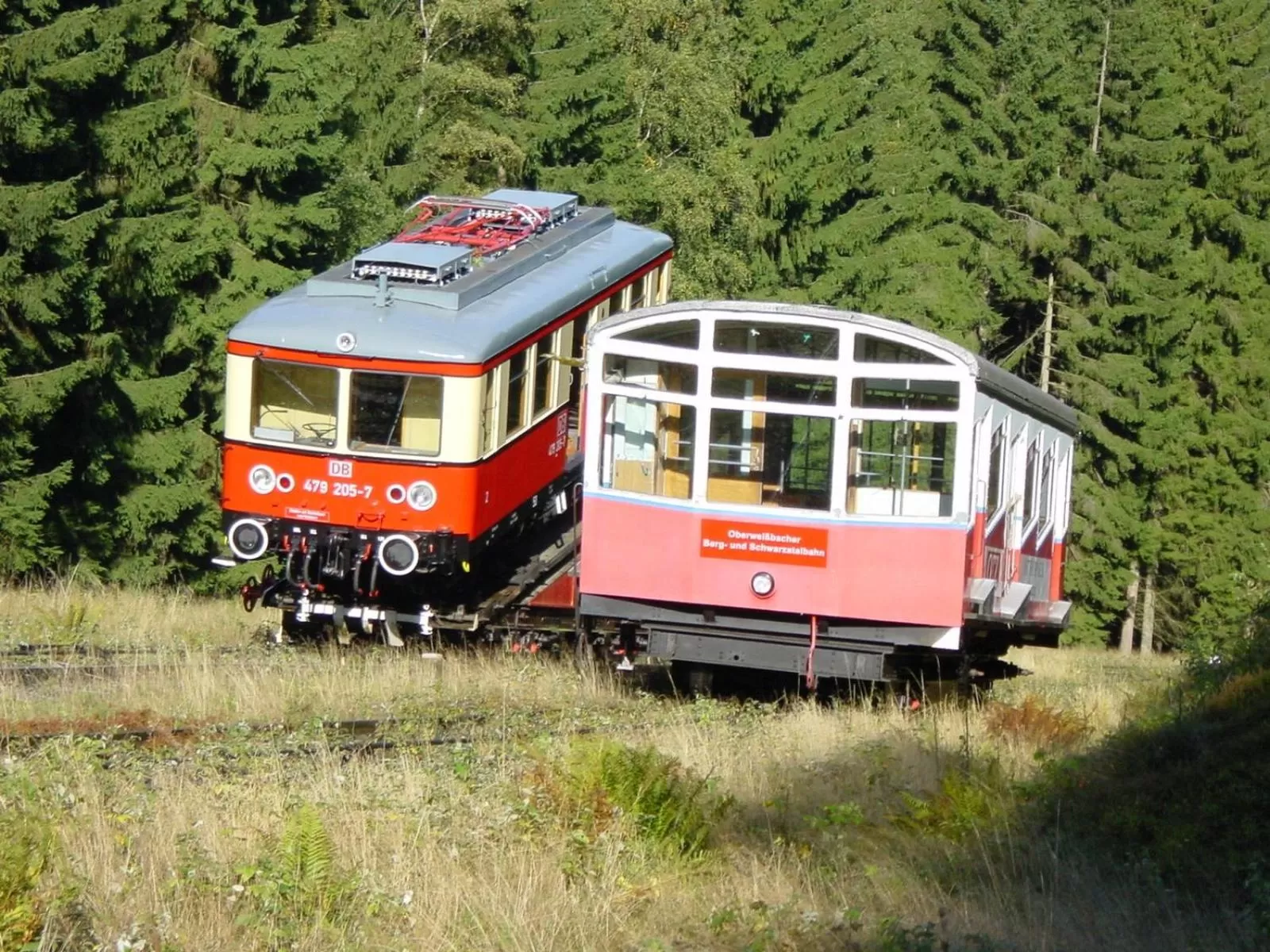 Area and facilities in Hotel Asterra