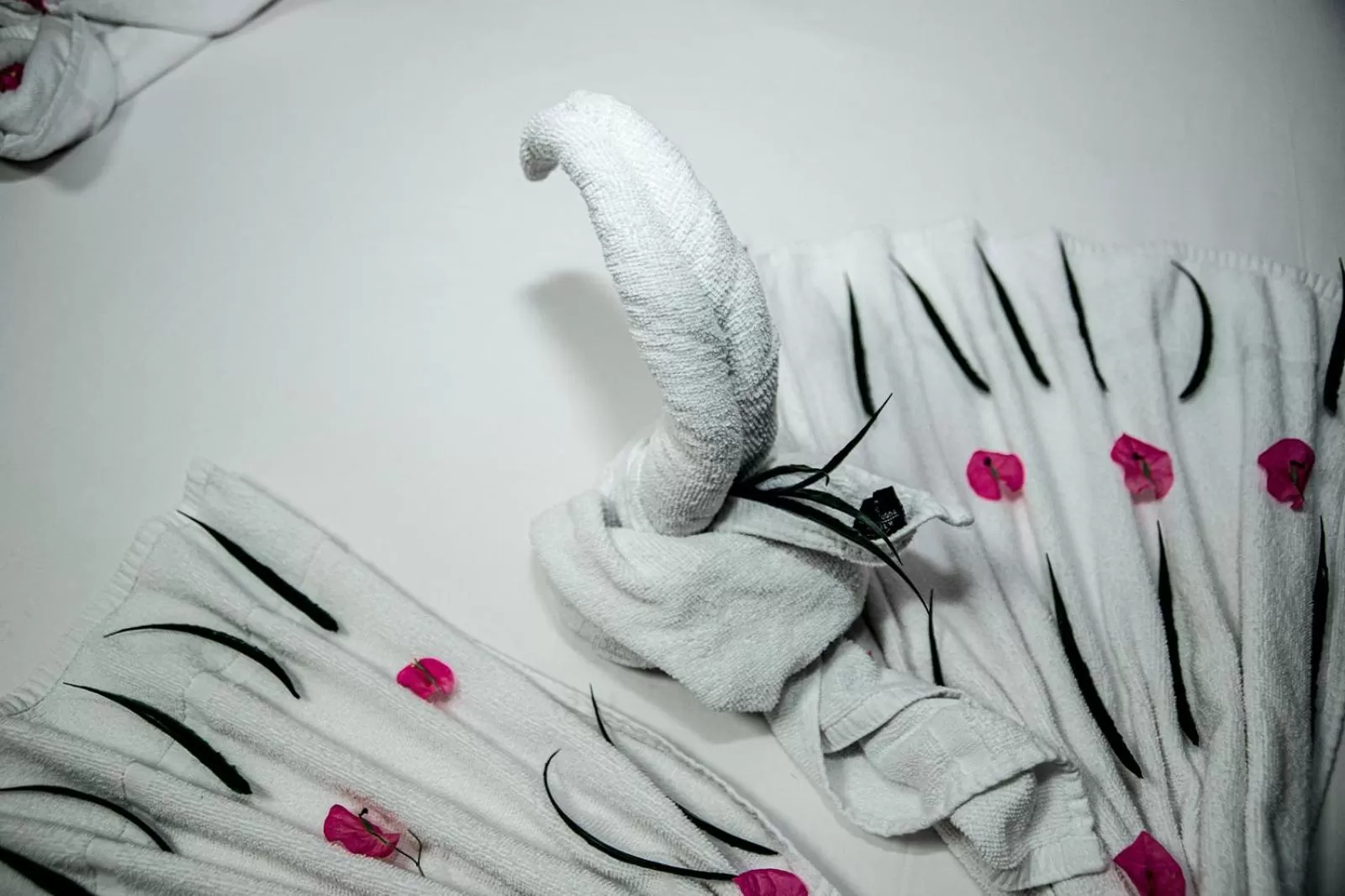 Decorative detail in Red Sea Hotel