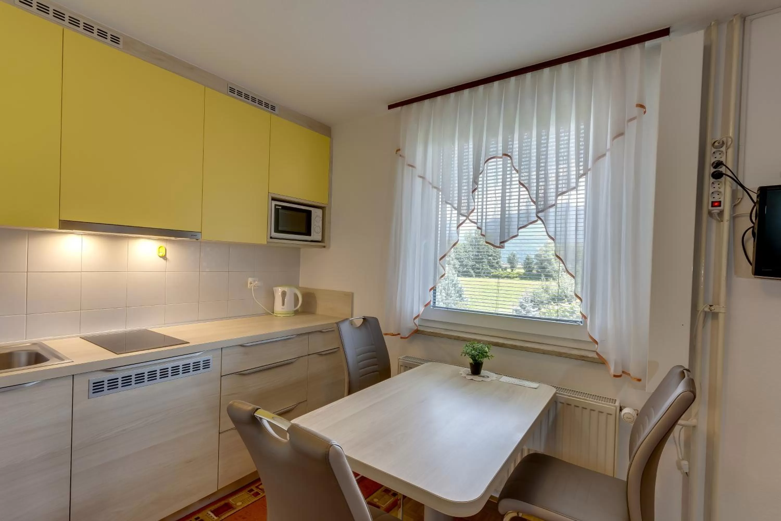 Kitchen or kitchenette in Rooms & Apartments Jana