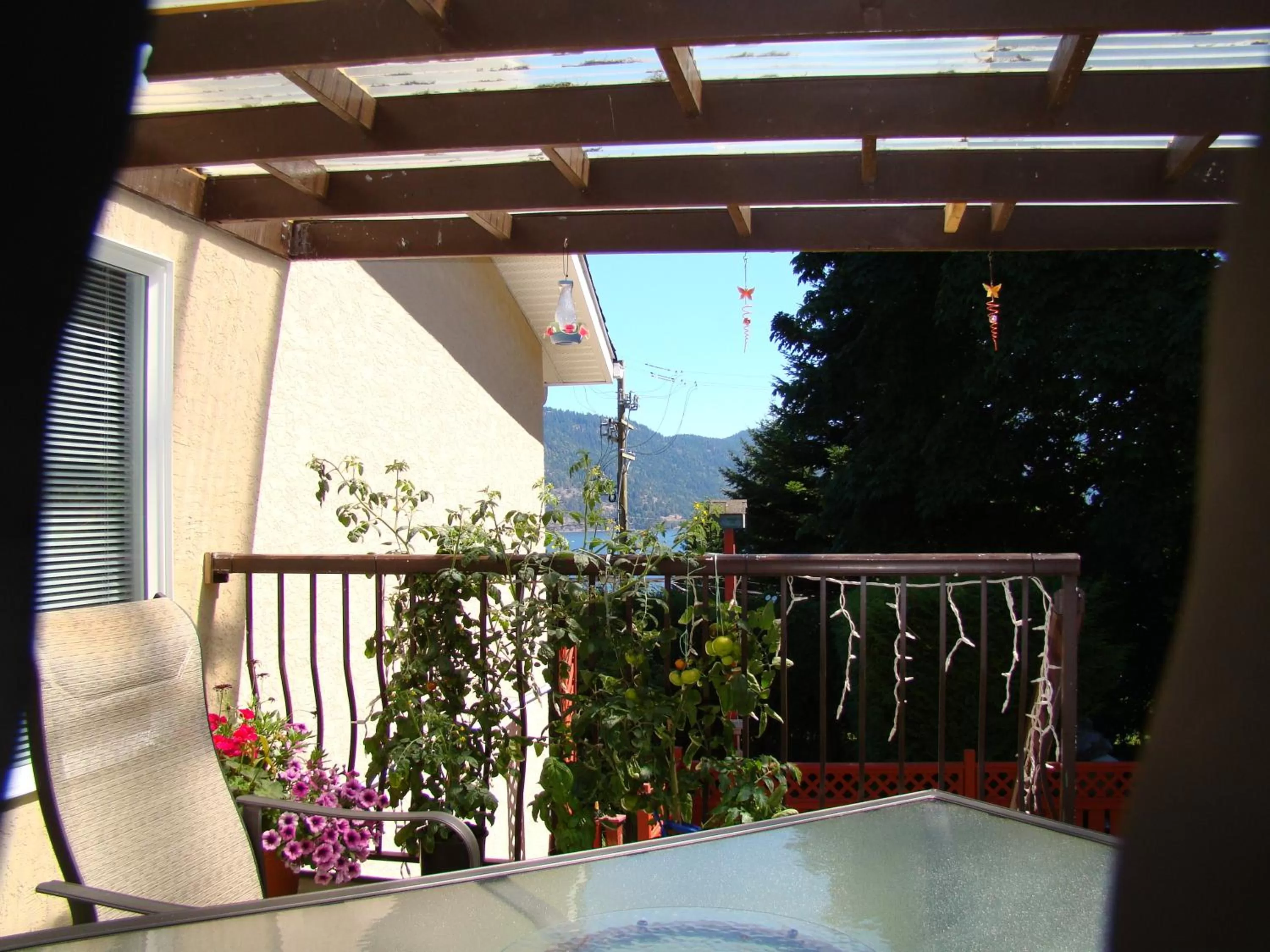 View (from property/room), Balcony/Terrace in Hummers Haven Bed and Breakfast