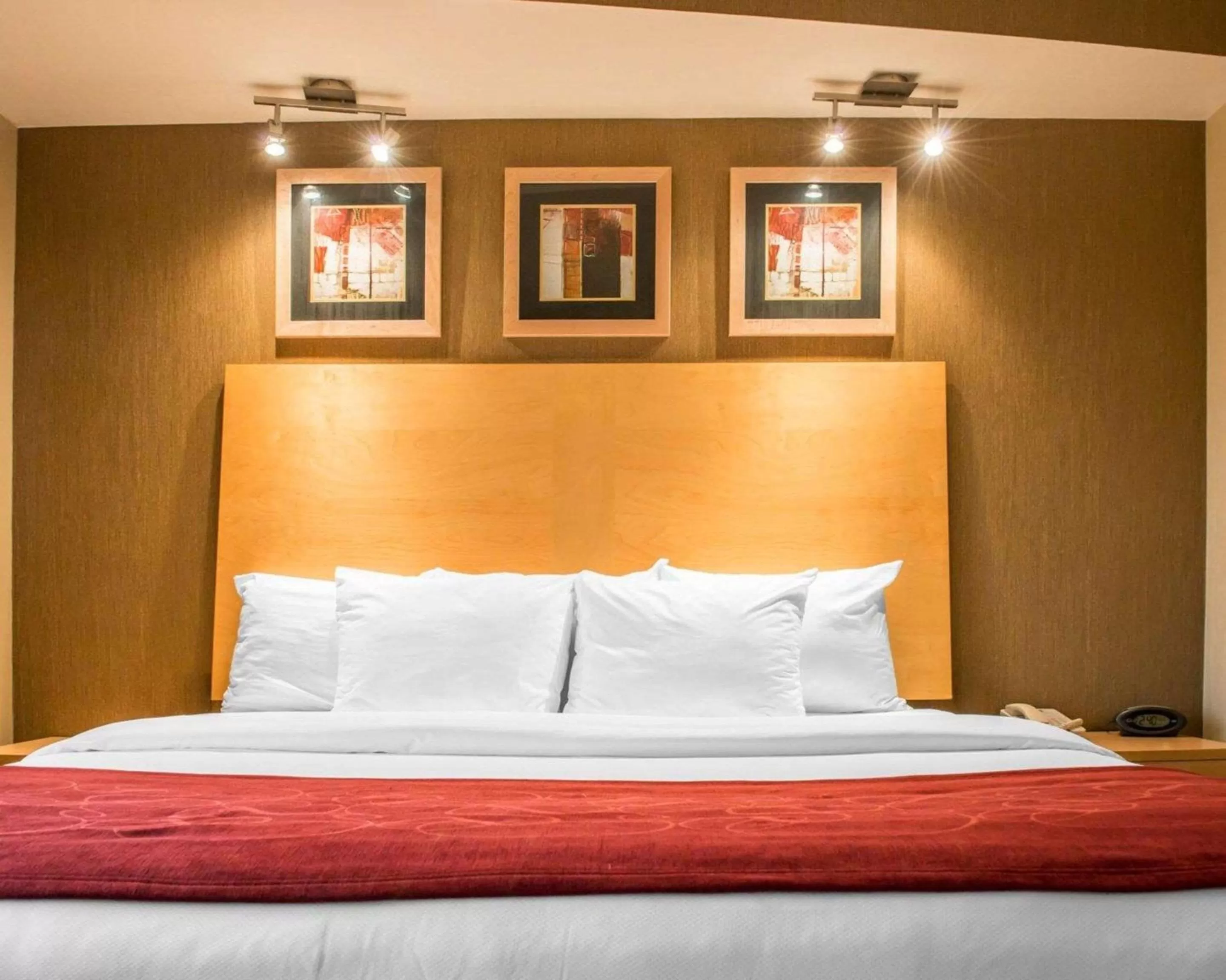 Photo of the whole room, Bed in Comfort Suites Monroeville - Pittsburgh East